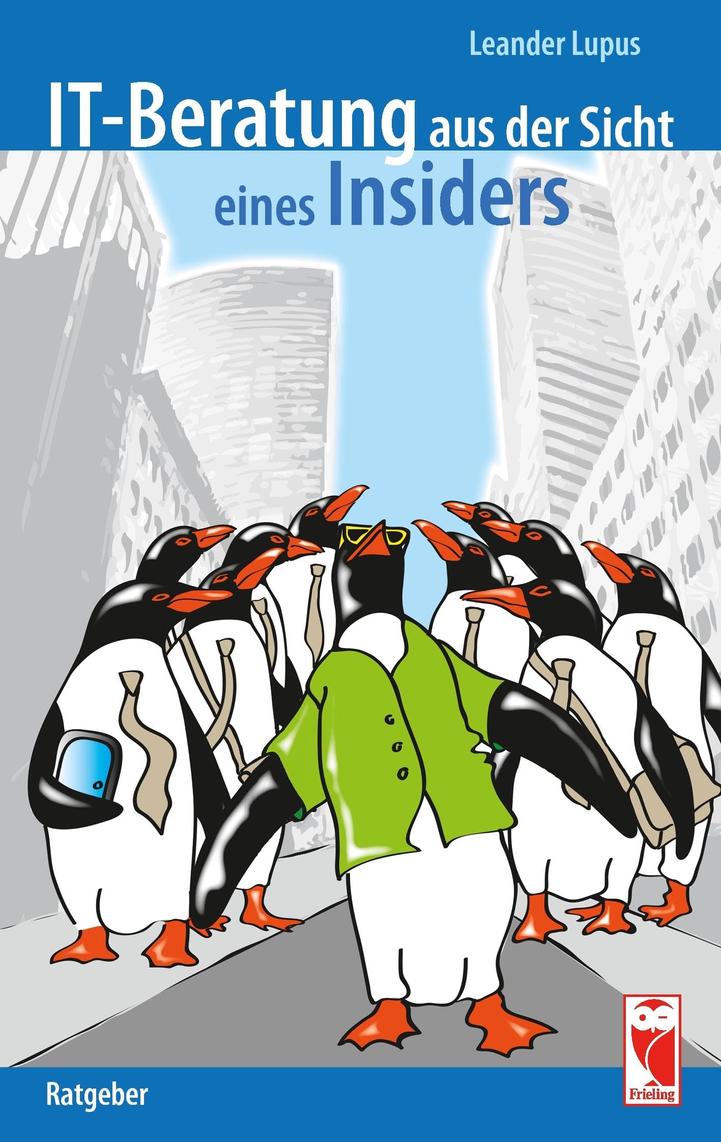 IT-Beratung aus der Sicht eines Insiders: Ratgeber Business, Finance & Career