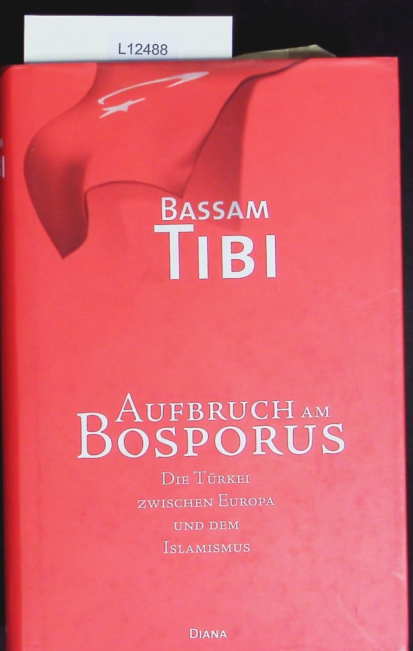 Aufbruch am Bosporus. Die Türkei zwischen Europa und dem Islamismus Politics & History