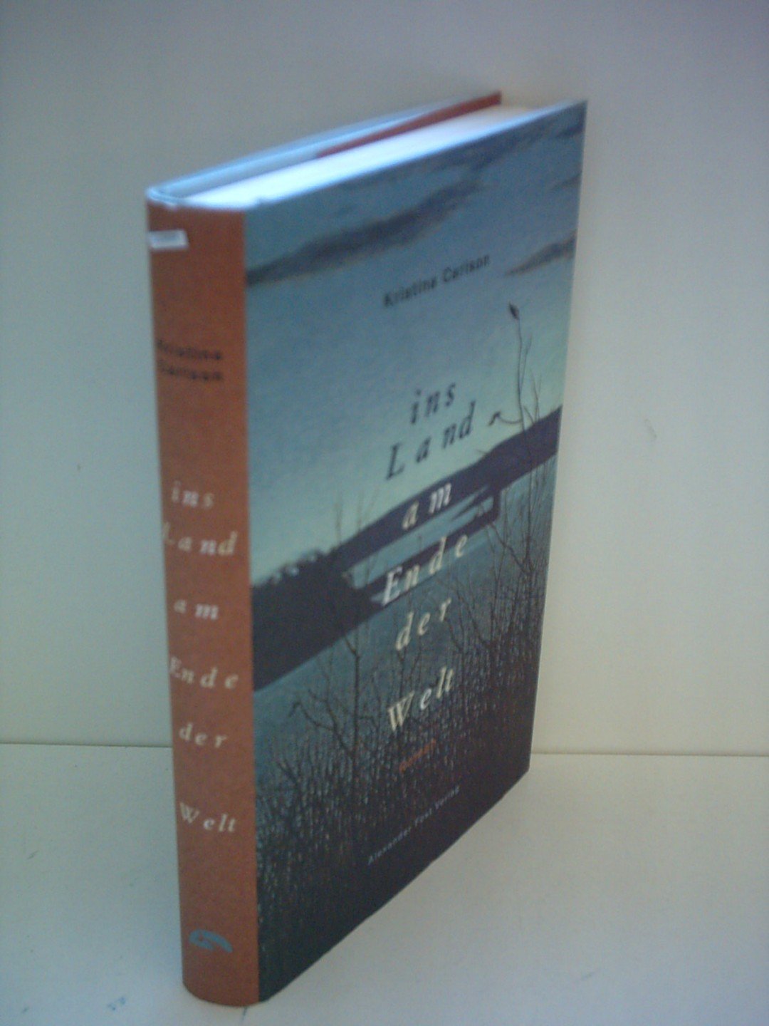 Ins Land am Ende der Welt: Roman. Aus d. Finn. v. Stefan Moster. Fiction