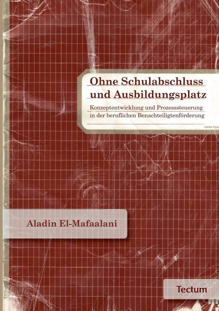 Ohne Schulabschluss und Ausbildungsplatz: Konzeptentwicklung und Prozesssteuerung in der beruflichen Benachteiligtenförderung Books
