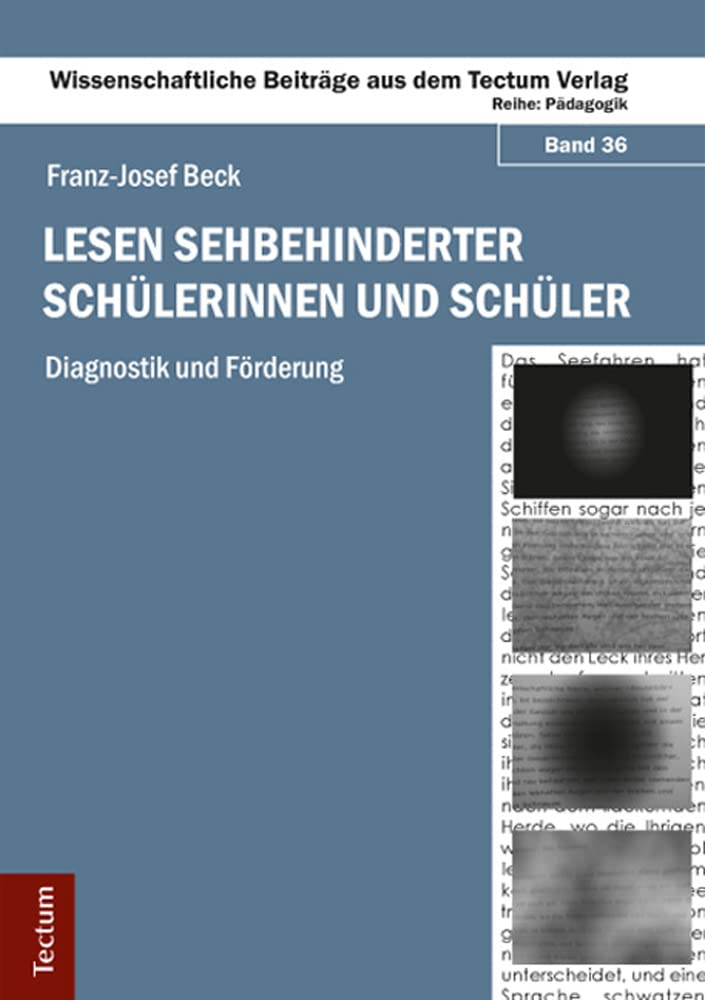 Lesen sehbehinderter Schülerinnen und Schüler book