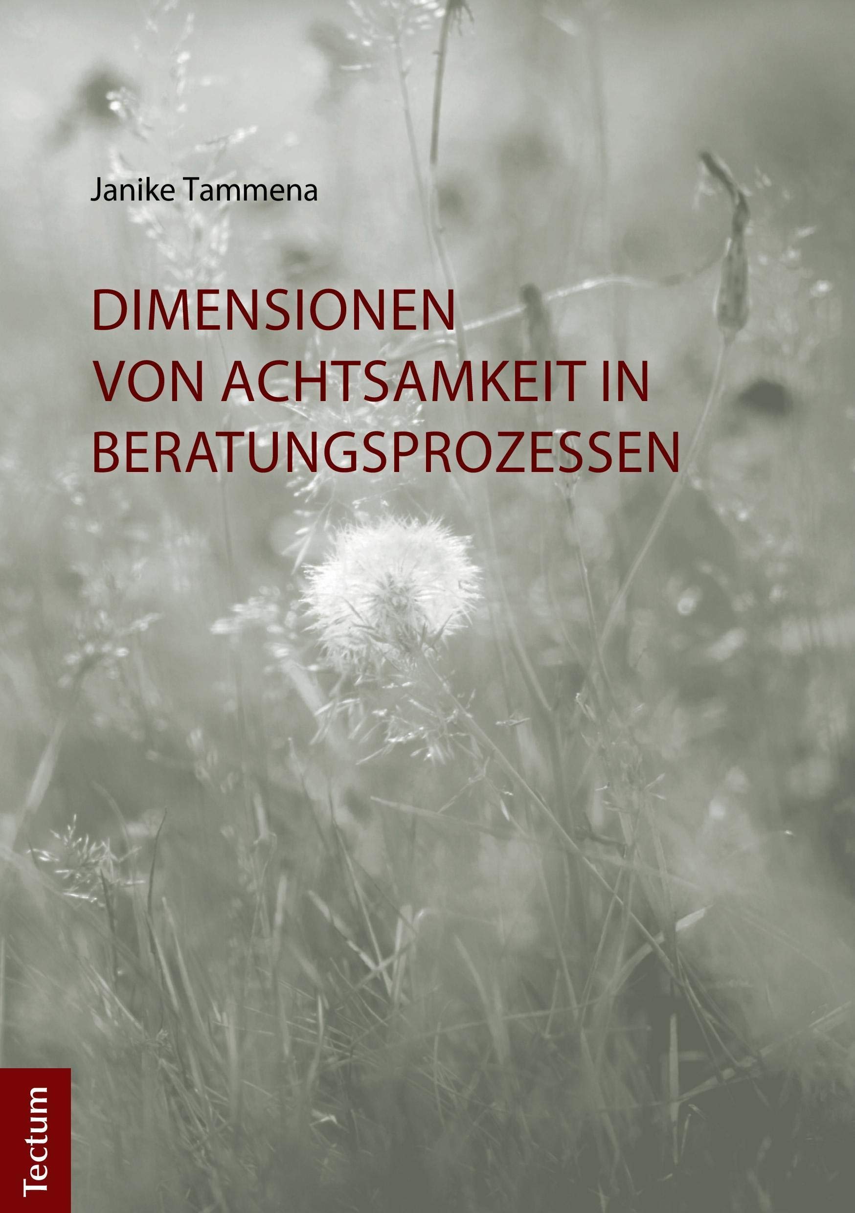 Dimensionen von Achtsamkeit in Beratungsprozessen book