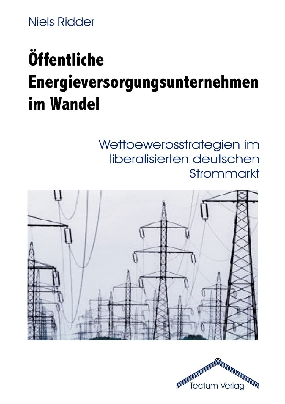 Öffentliche Energieversorgungsunternehmen im Wandel book