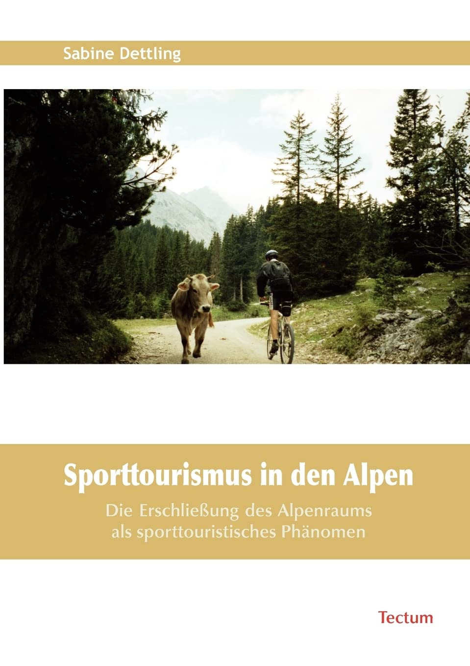 Sporttourismus in den Alpen book