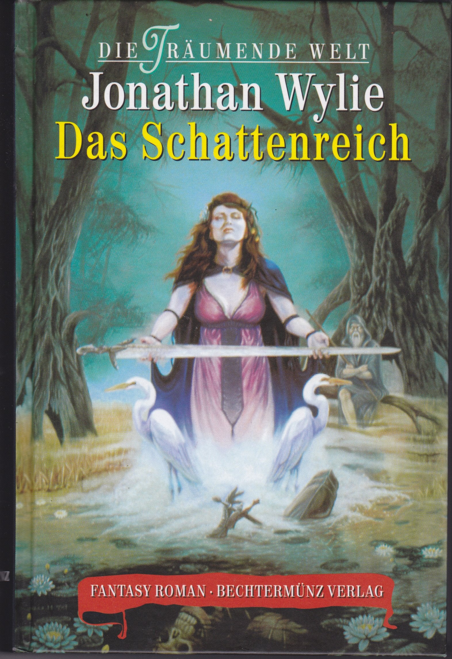 Die Träumende Welt - Der Traumstein (Teil 1) + Das Schattenreich (Teil 2) Books