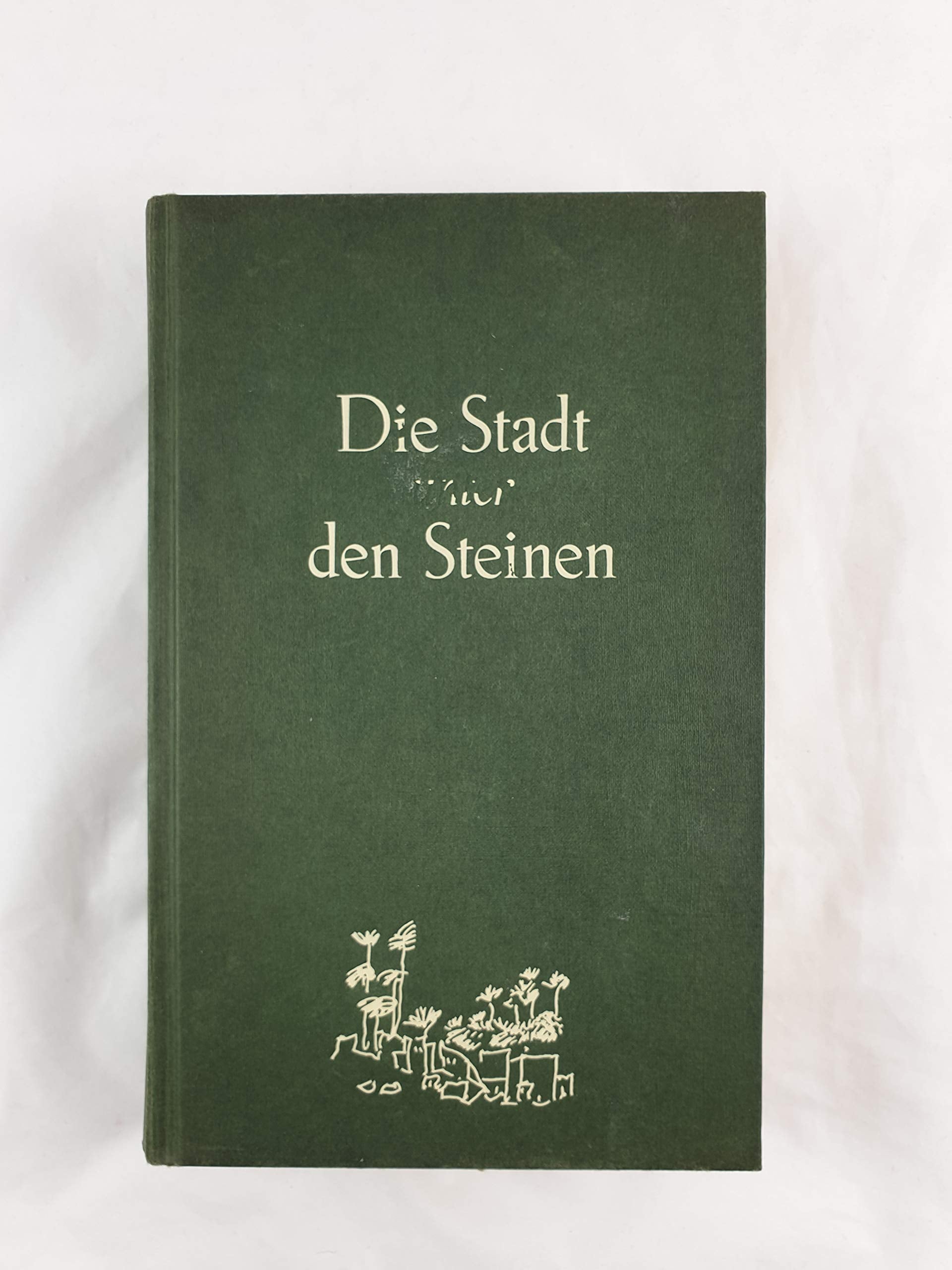 Die Stadt unter den Steinen : Roman. Books