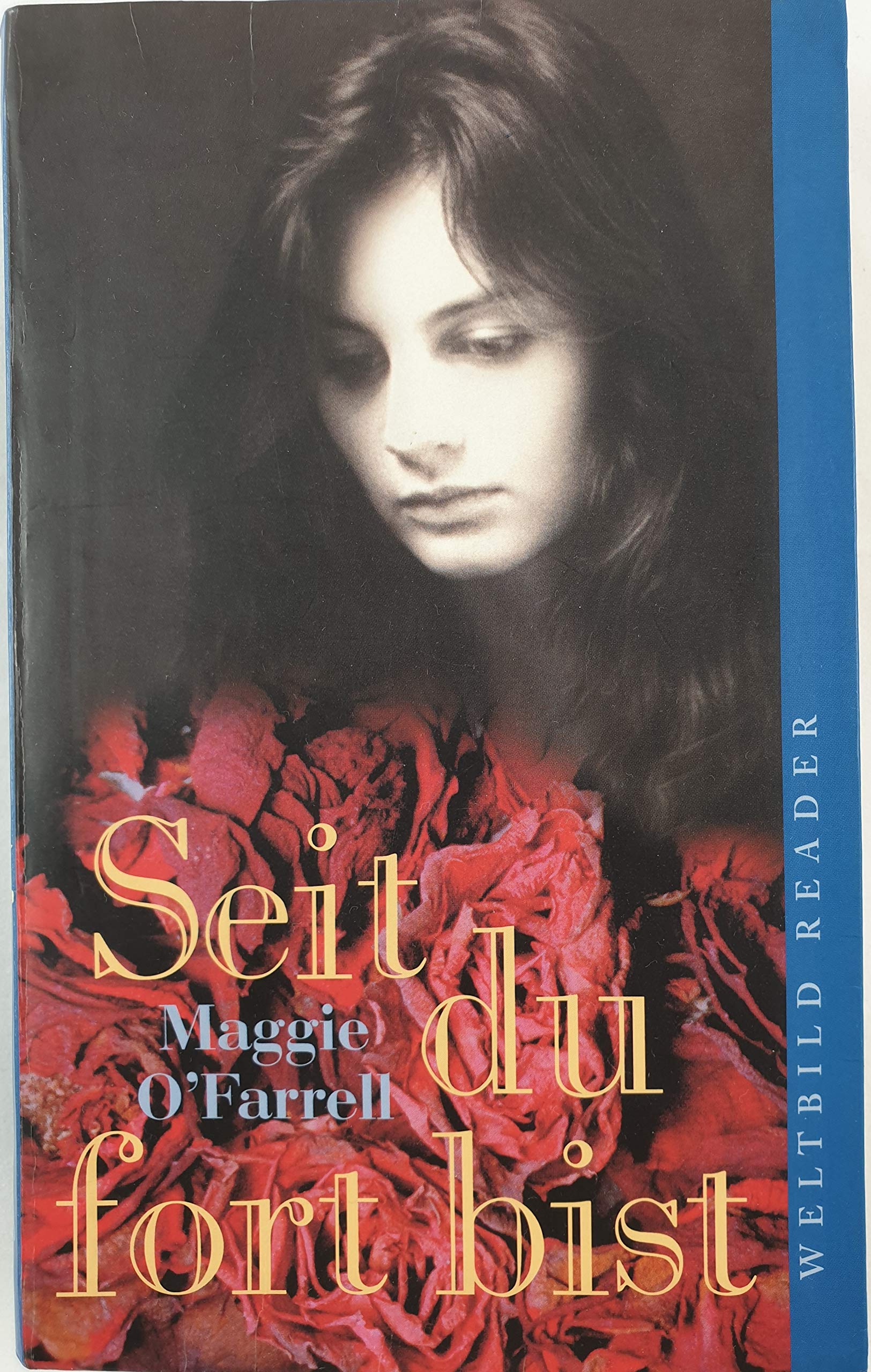 Seit du fort bist Contemporary literature Books