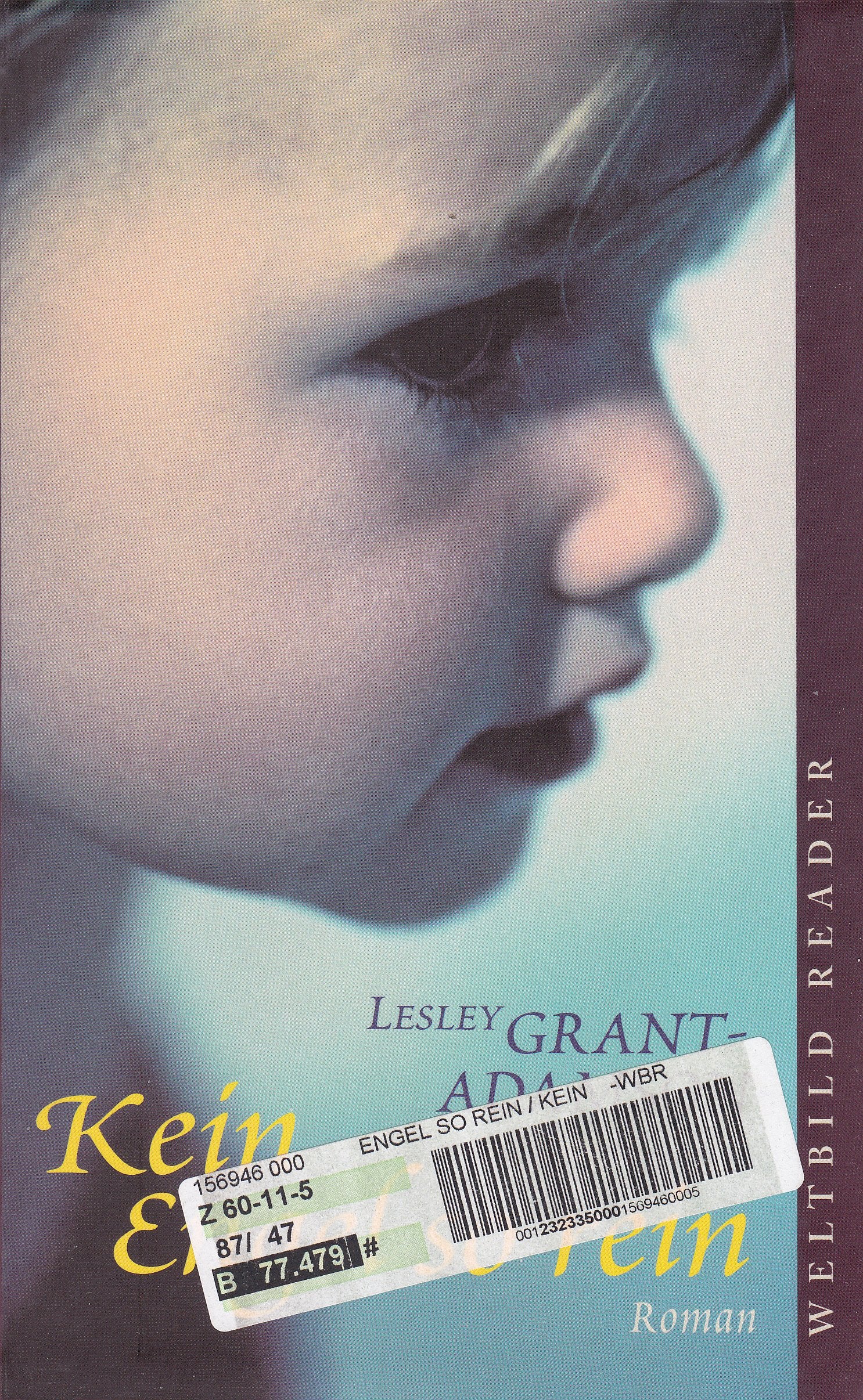 Kein Engel so rein : Roman. Books