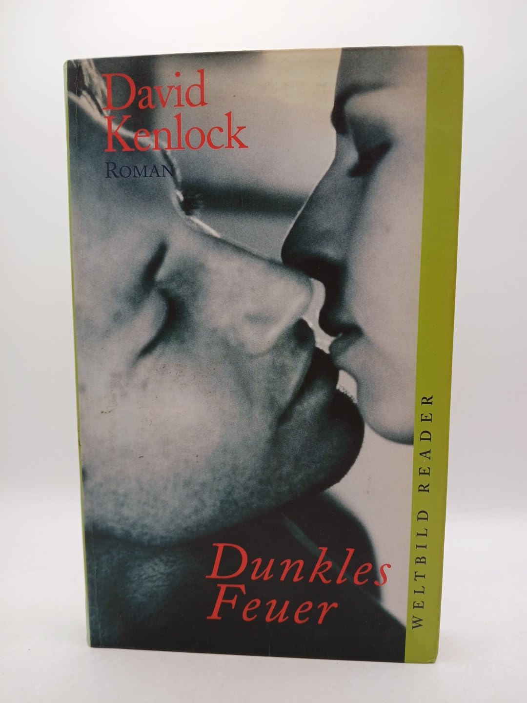 Dunkles Feuer : Roman. Books