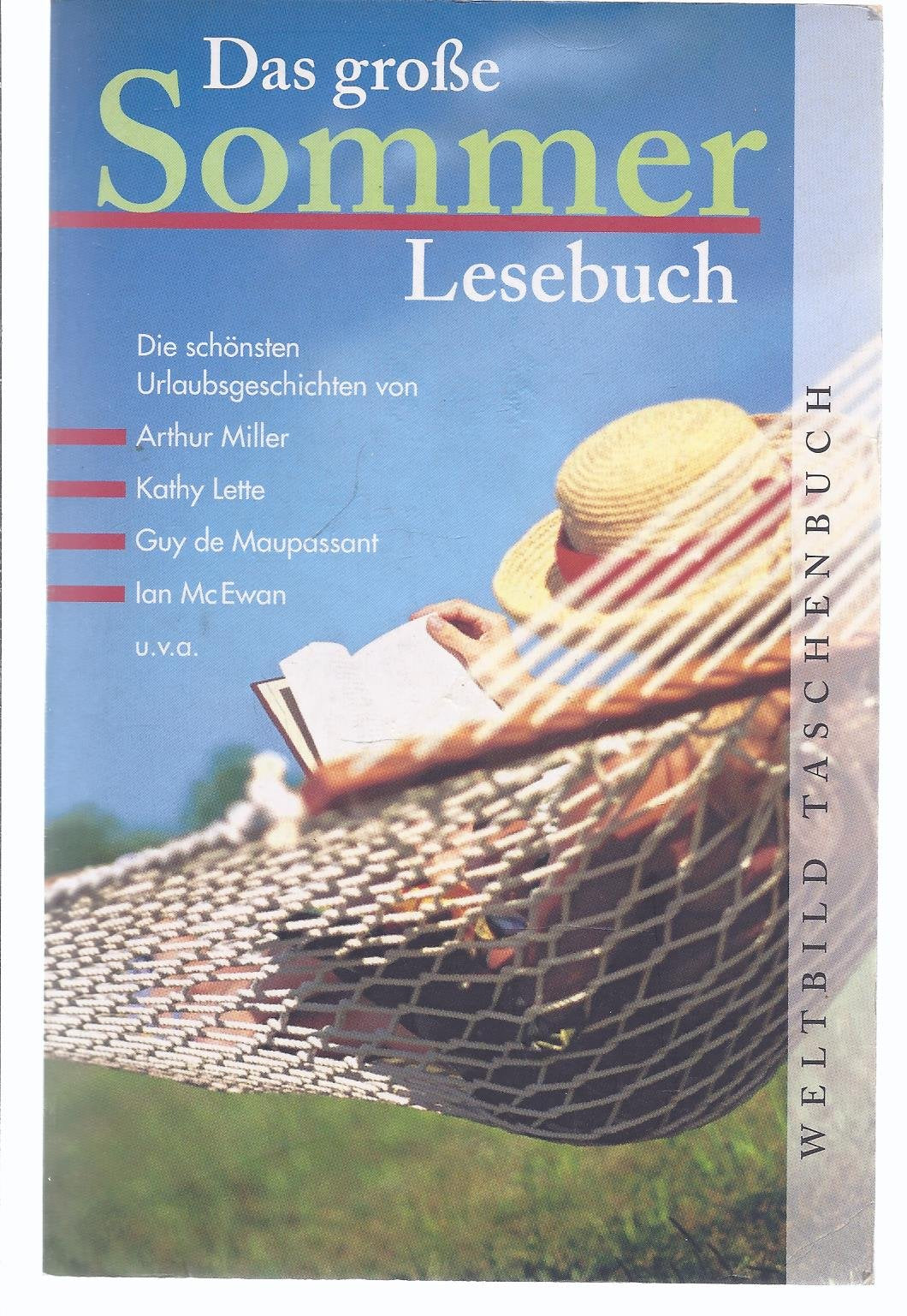 Das große Sommerlesebuch - . Books