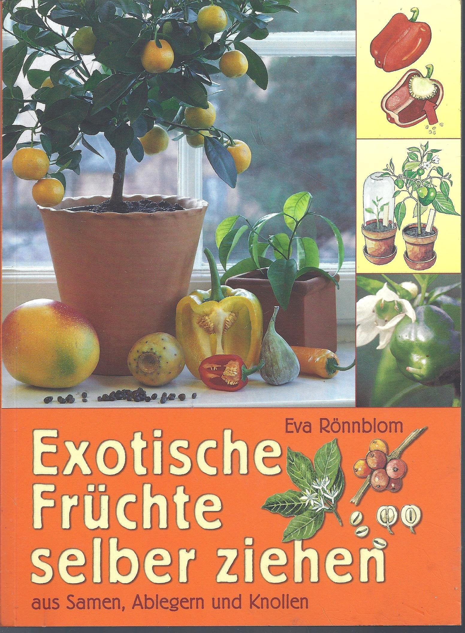Exotische Früchte selber ziehen aus Samen, Ablegern und Knollen Books