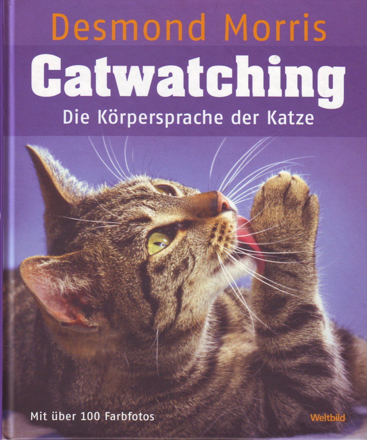 Catwatching. Die Körpersprache der Katze Pets