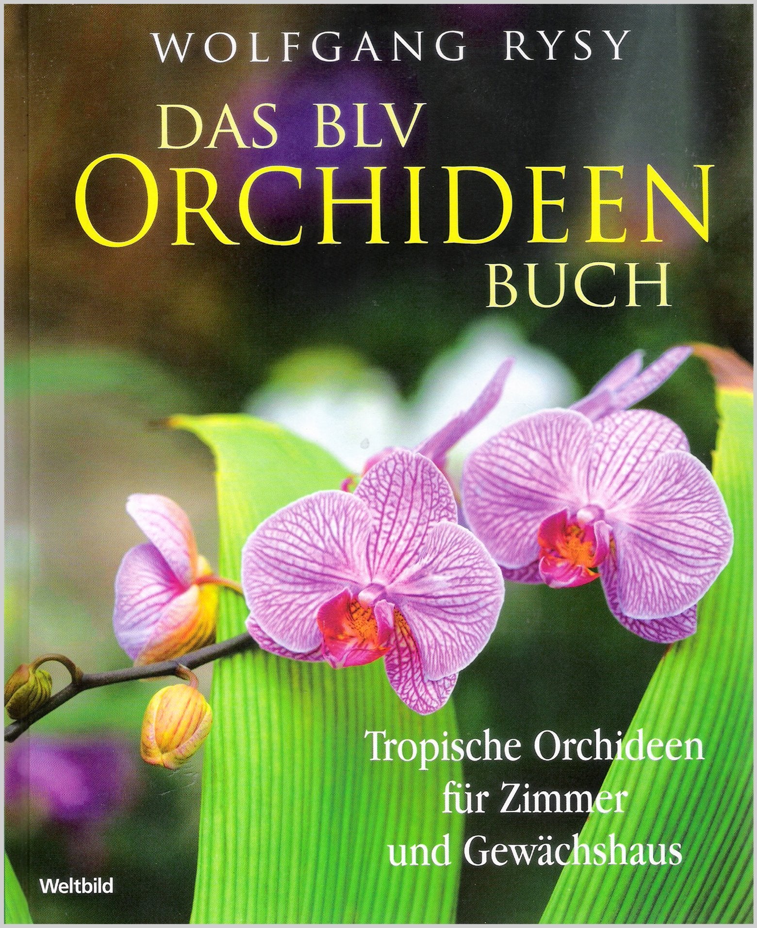 Das BLV Orchideenbuch. Tropische Orchideen für Zimmer und Gewächshaus Books