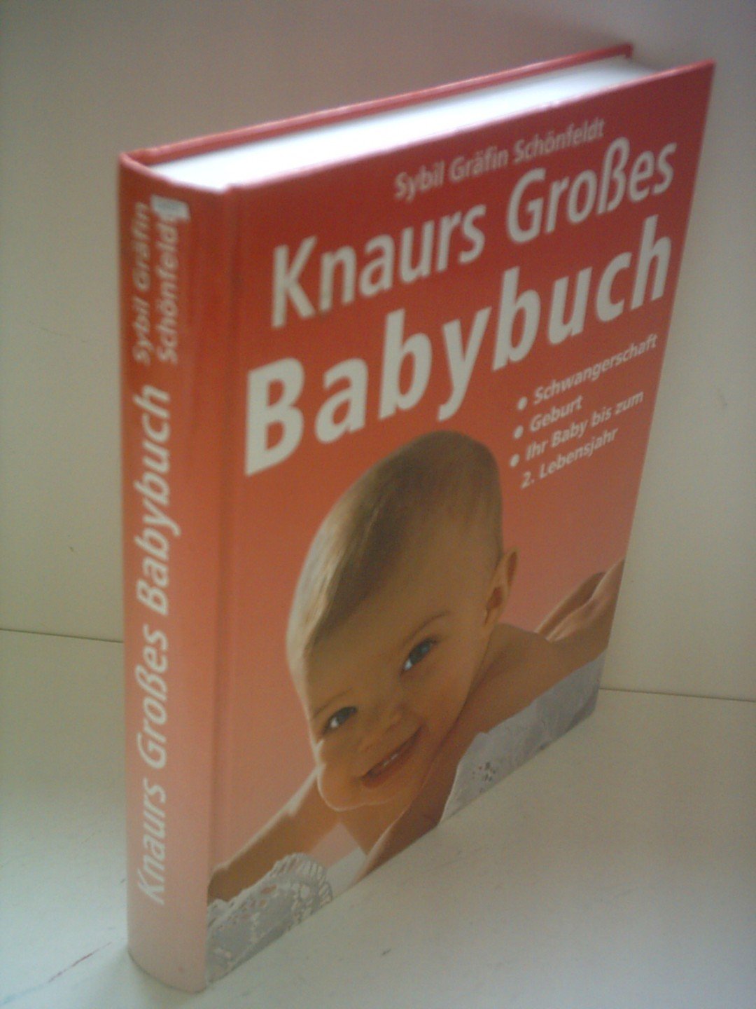 Knaurs Grosses Babybuch: Schwangerschaft, Geburt, Ihr Baby bis zum 2. Lebensjahr Parents & Children