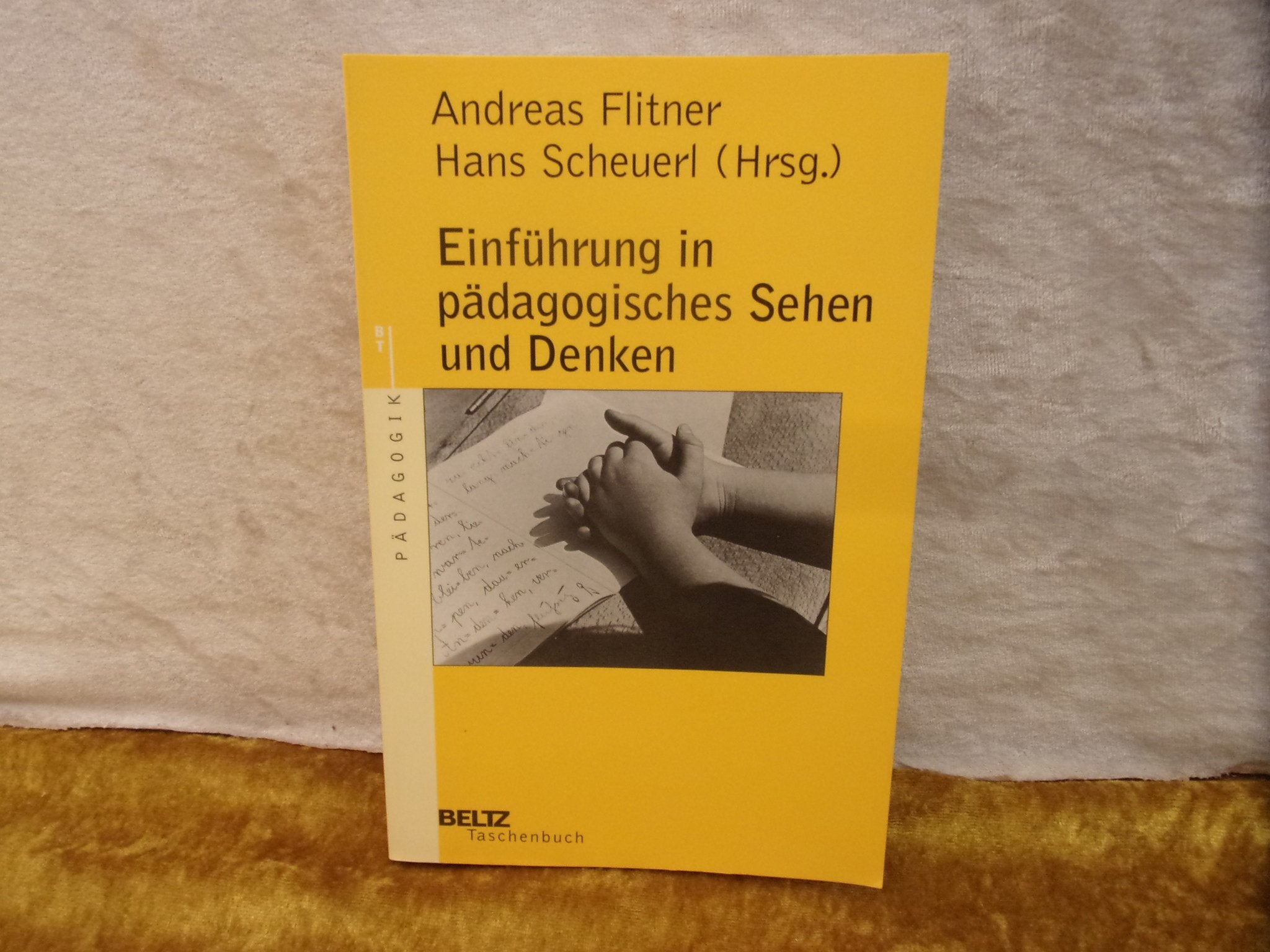 Einführung in pädagogisches Sehen und Denken Books
