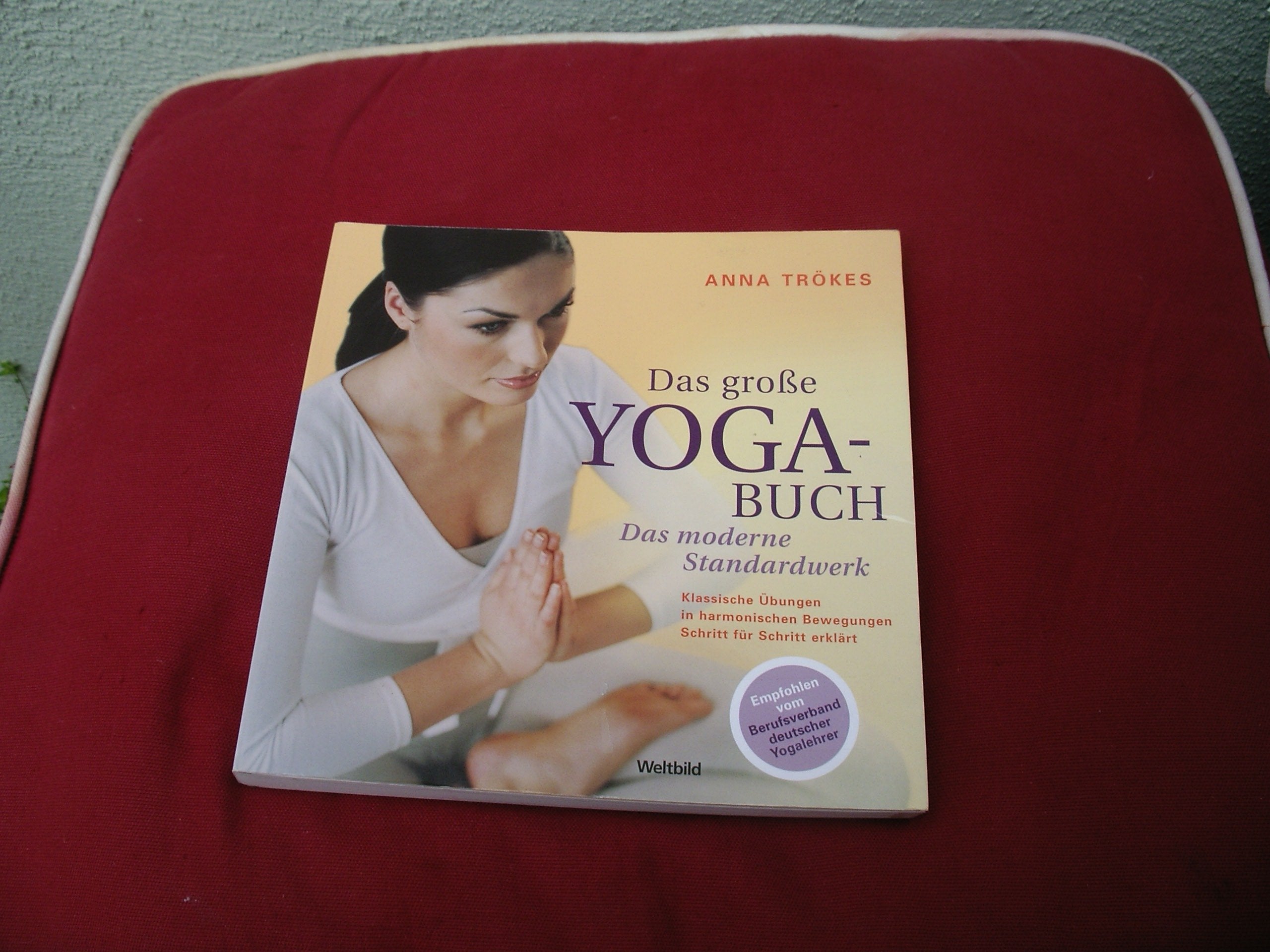 Das große Yoga-Buch Lifestyle Books
