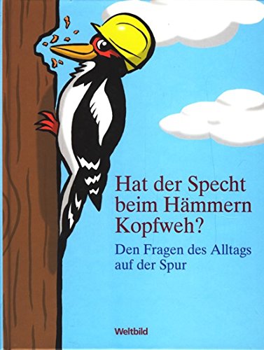 Hat der Specht beim Hämmern Kopfweh? - Den Fragen des Alltags auf der Spur Books