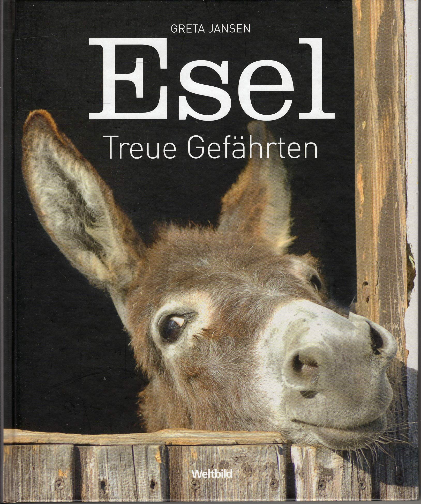 Esel : treue Gefährten. Books
