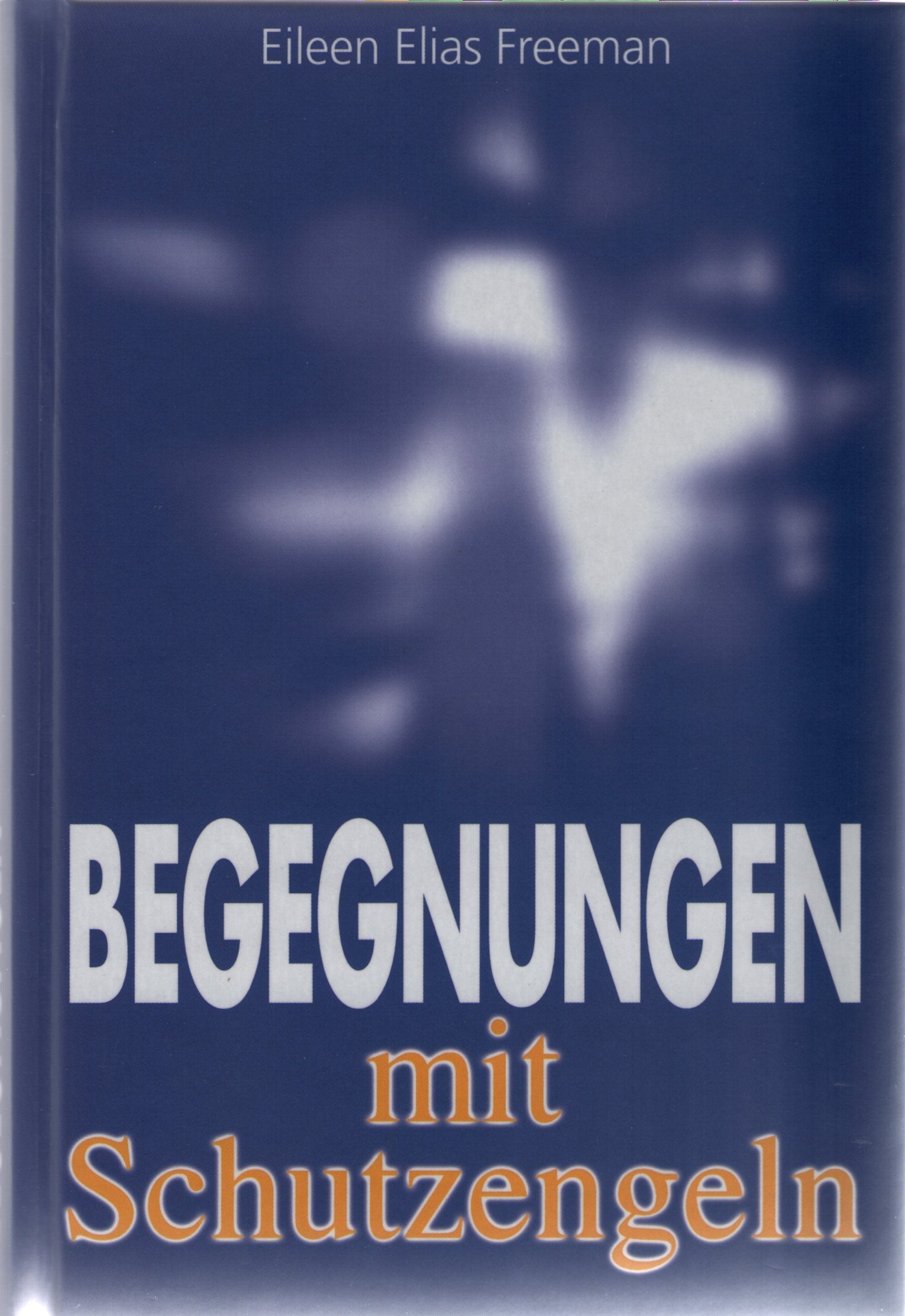 Begegnungen mit Schutzengeln Religion & Esotericism