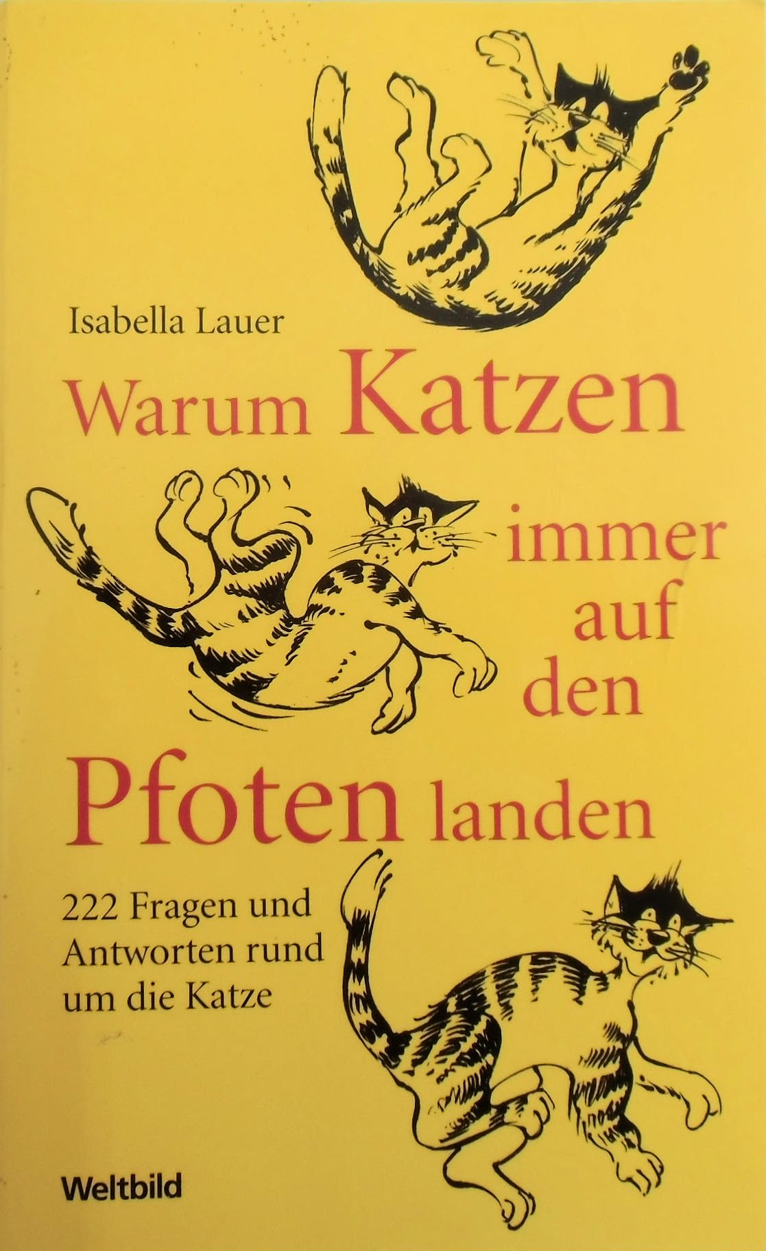 Warum Katzen immer auf den Pfoten landen. 222 Fragen und Antworten rund um die Katze. Books