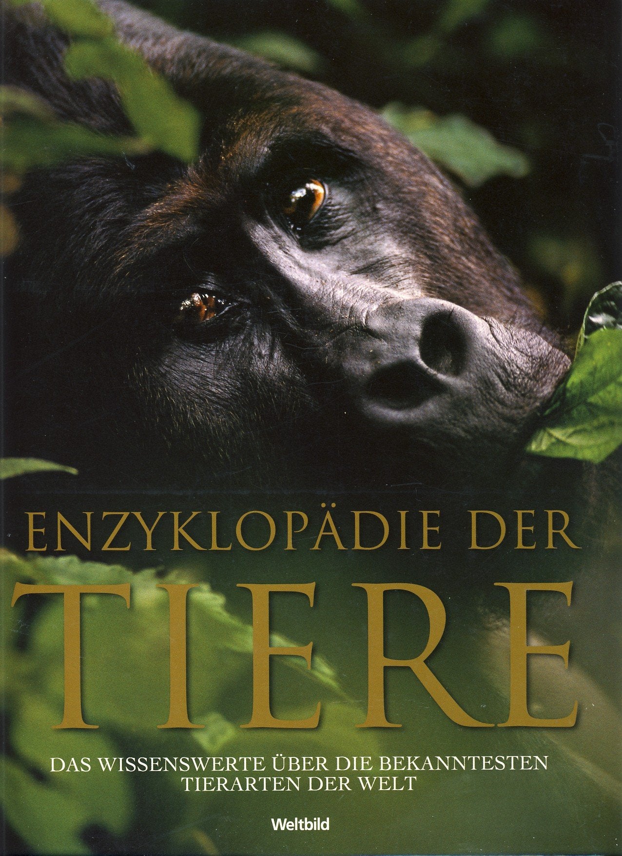 Enzyklopädie der Tiere Das Wissenswerte über die bekanntesten Tierarten der Welt Books