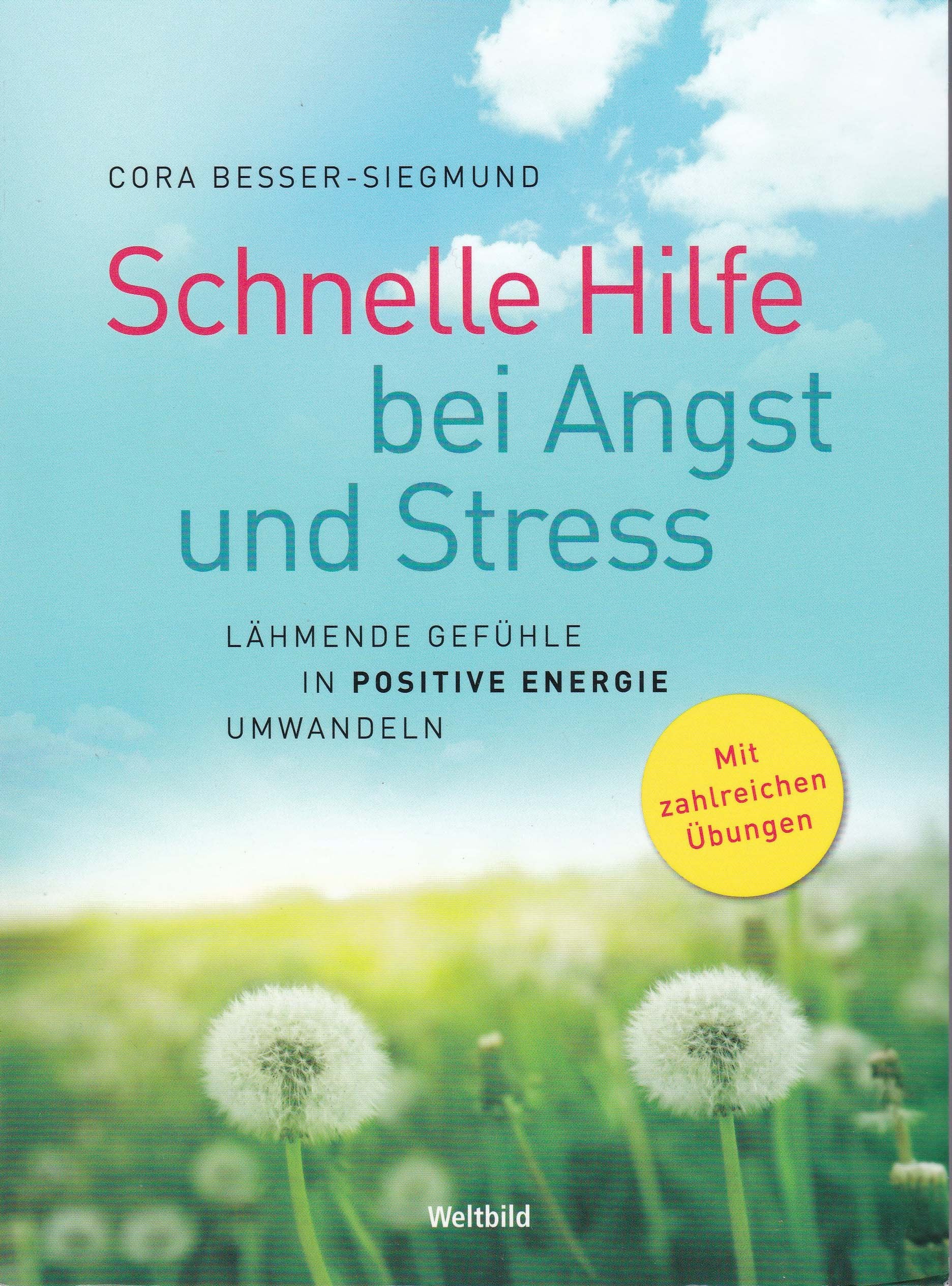 Product Image: Schnelle Hilfe bei Angst und Stress