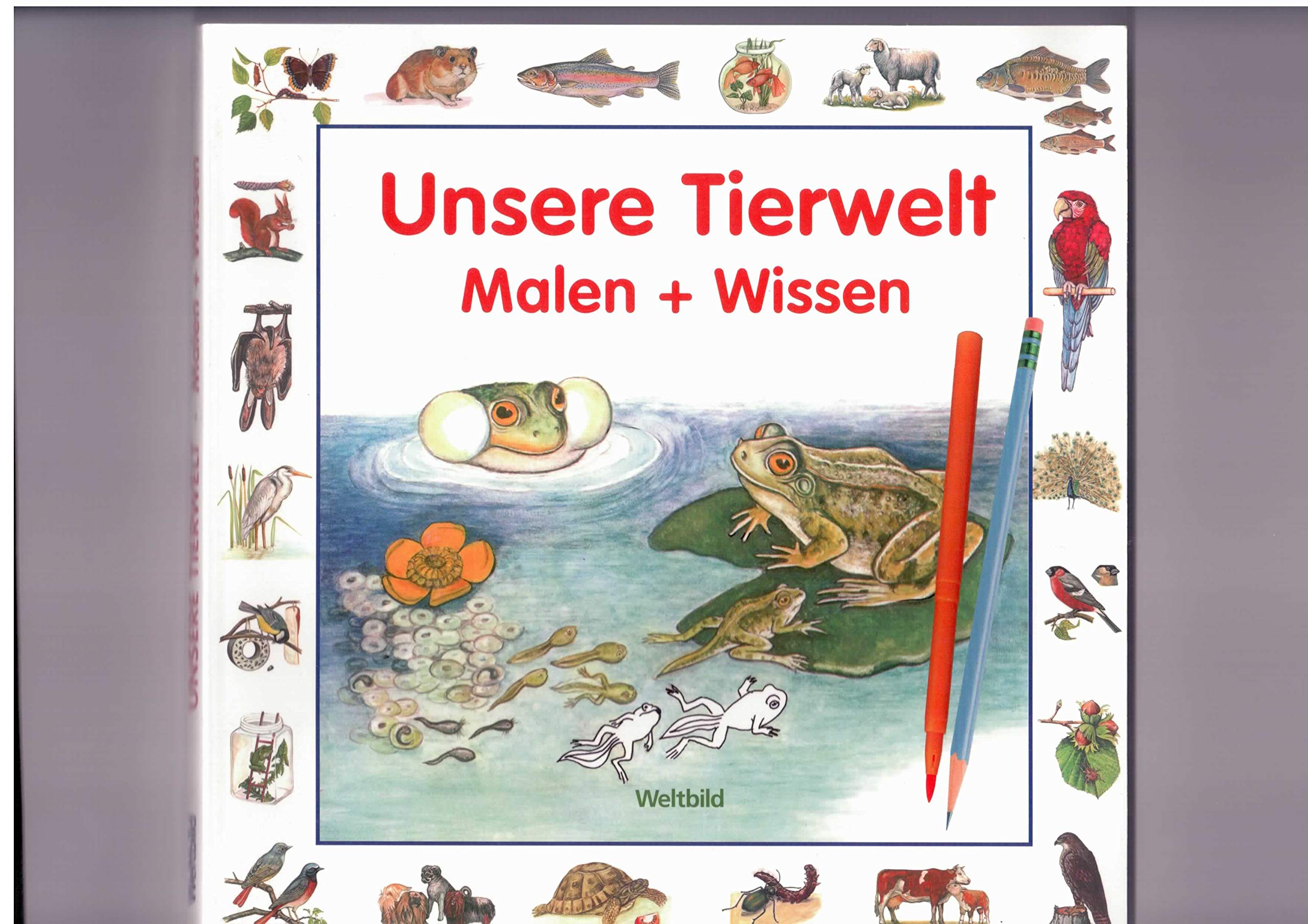 Unsere Tierwelt Malen + Wissen von Dr. Erwin Eigner Book Books