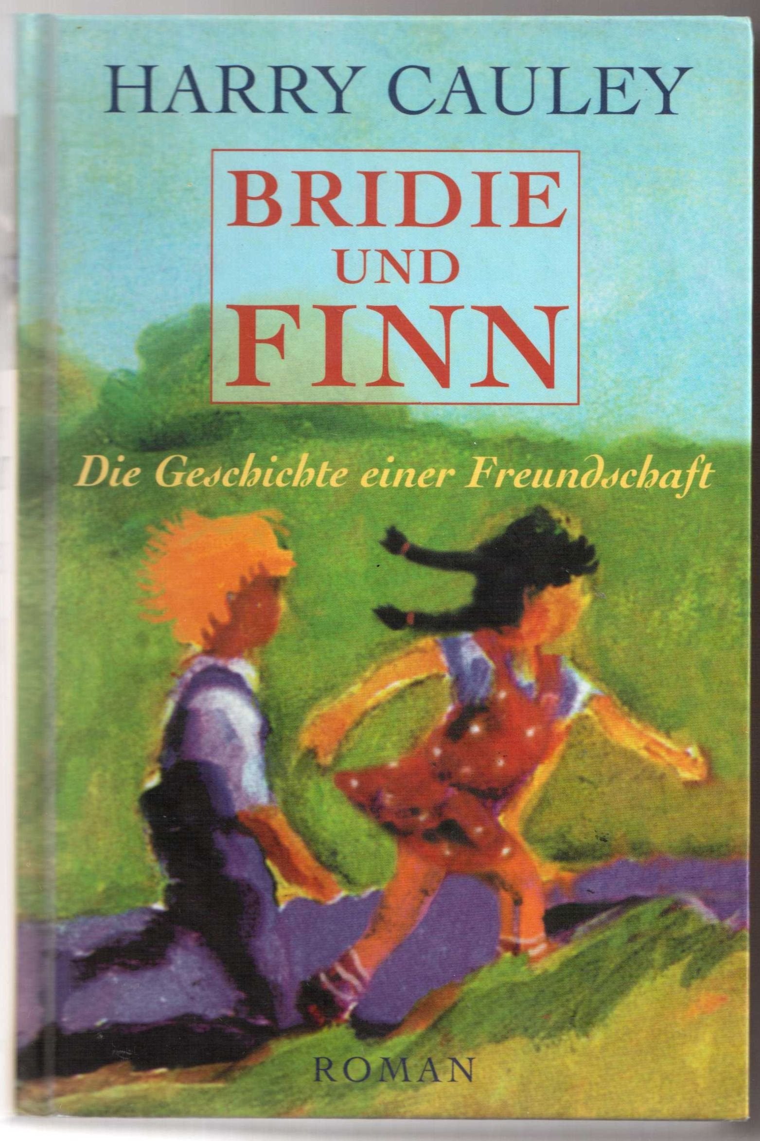 Bridie und Finn. Die Geschichte einer Freundschaft Contemporary literature
