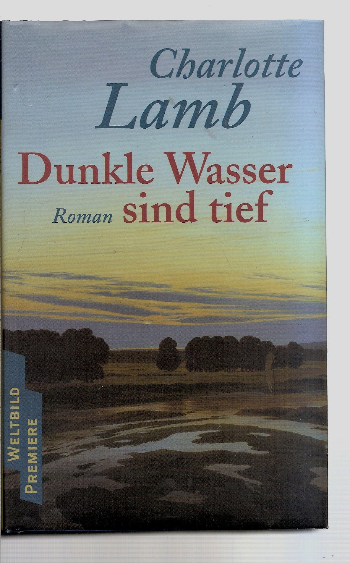 Product Image: Dunkle Wasser sind tief : Roman.