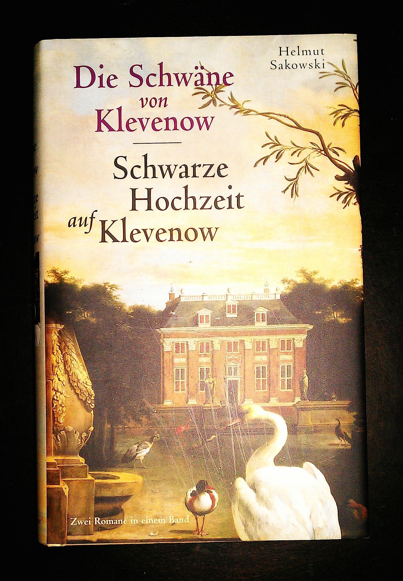 Die Schwäne von Klevenow / Schwarze Hochzeit auf Klevenow Books