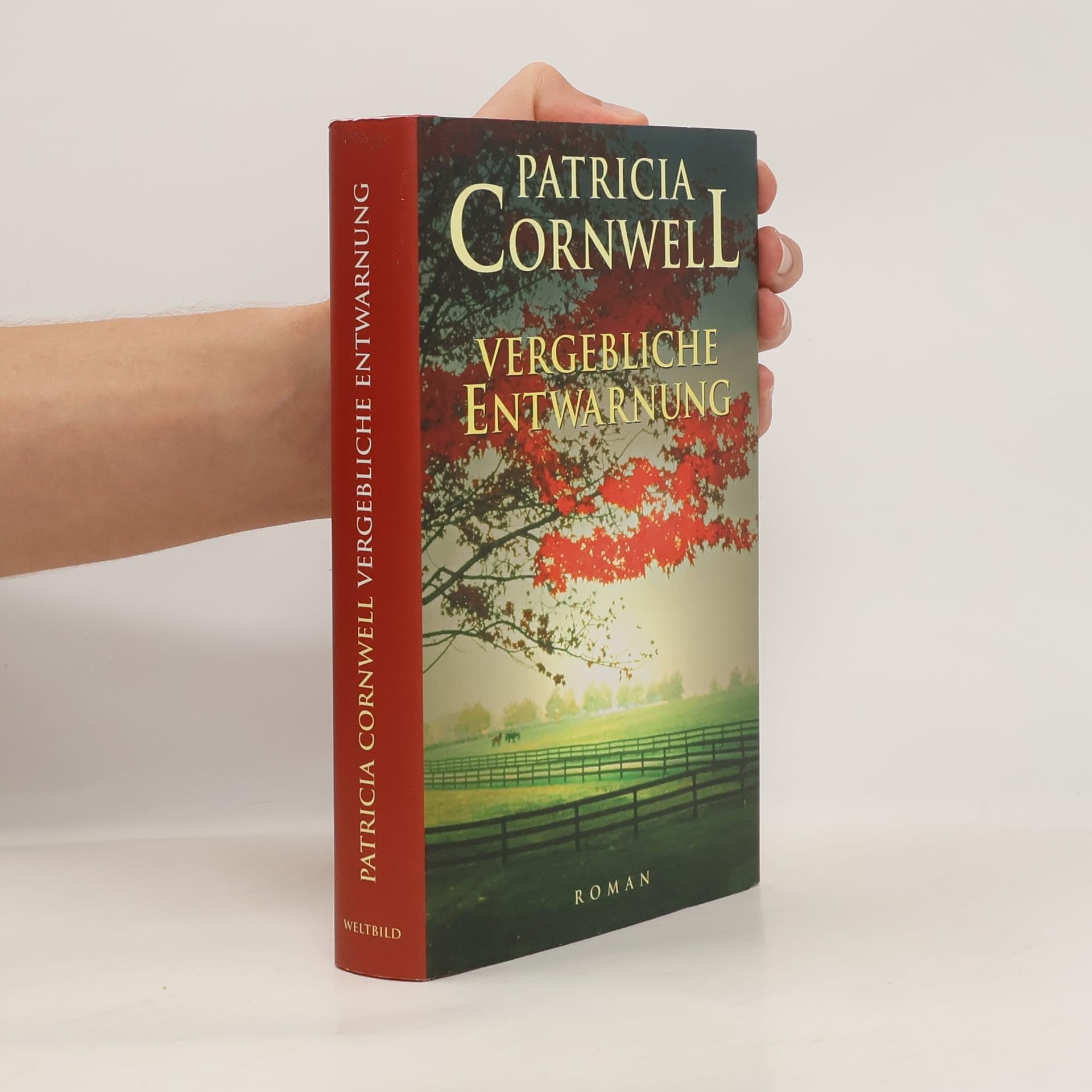Vergebliche Entwarnung Roman Books
