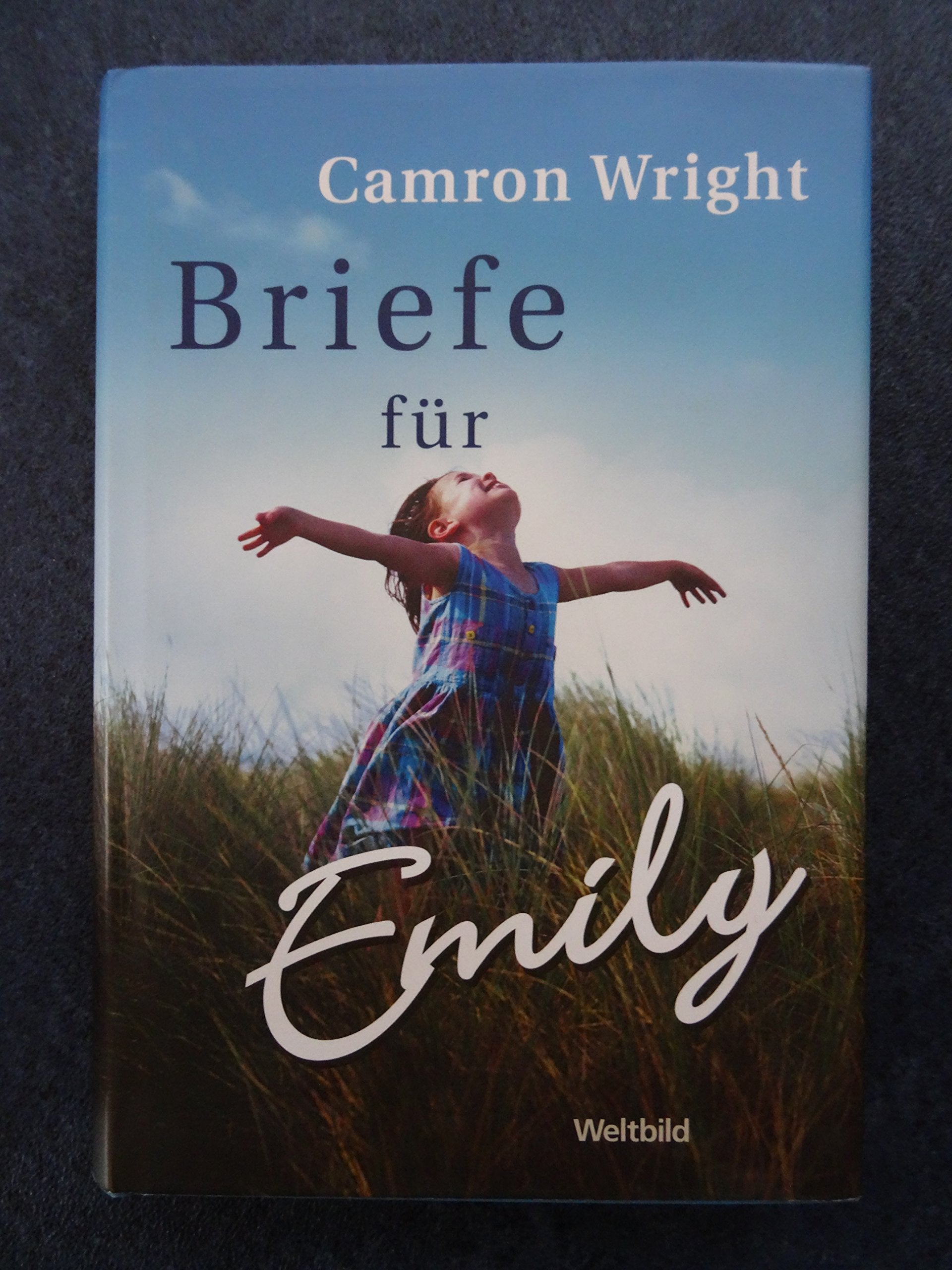 Briefe für Emily Essays & Short Stories