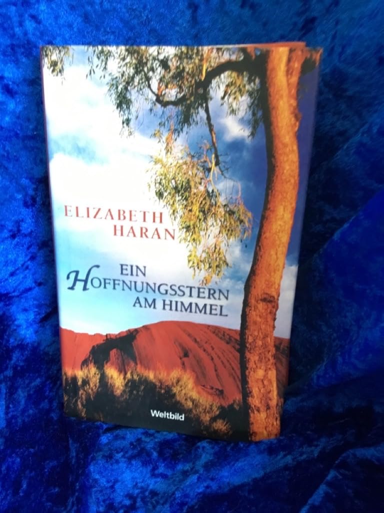 Ein Hoffnungsstern am Himmel Contemporary literature Books