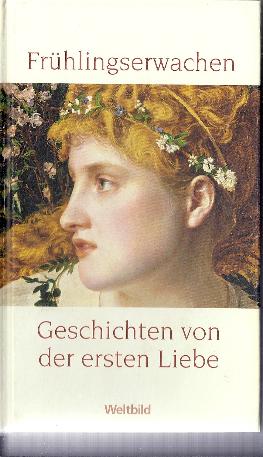 Frühlingserwachen Books