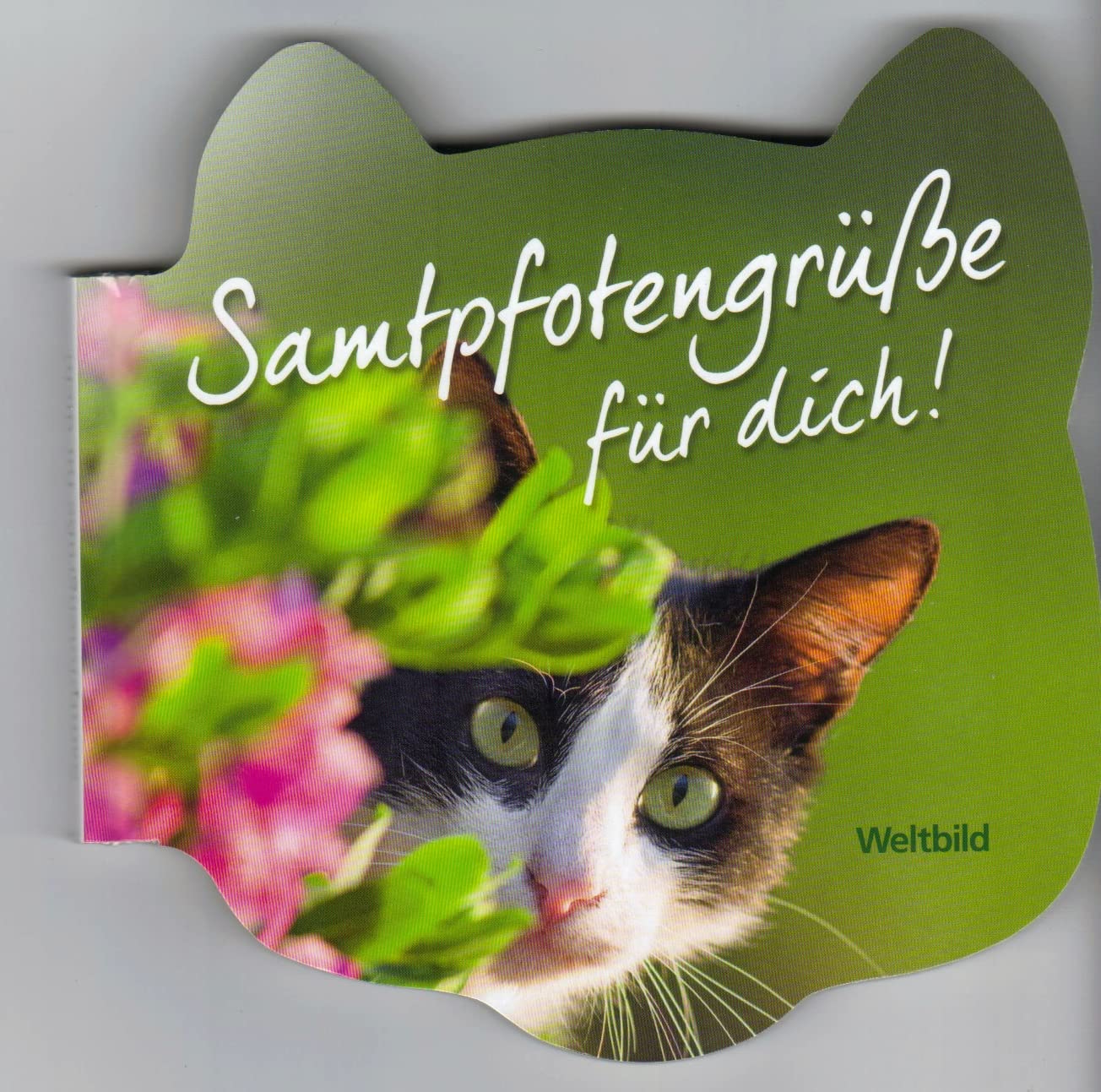 Samtpfotengrüße für Dich! - Das ultimative Buch für Katzenliebhaber Lifestyle