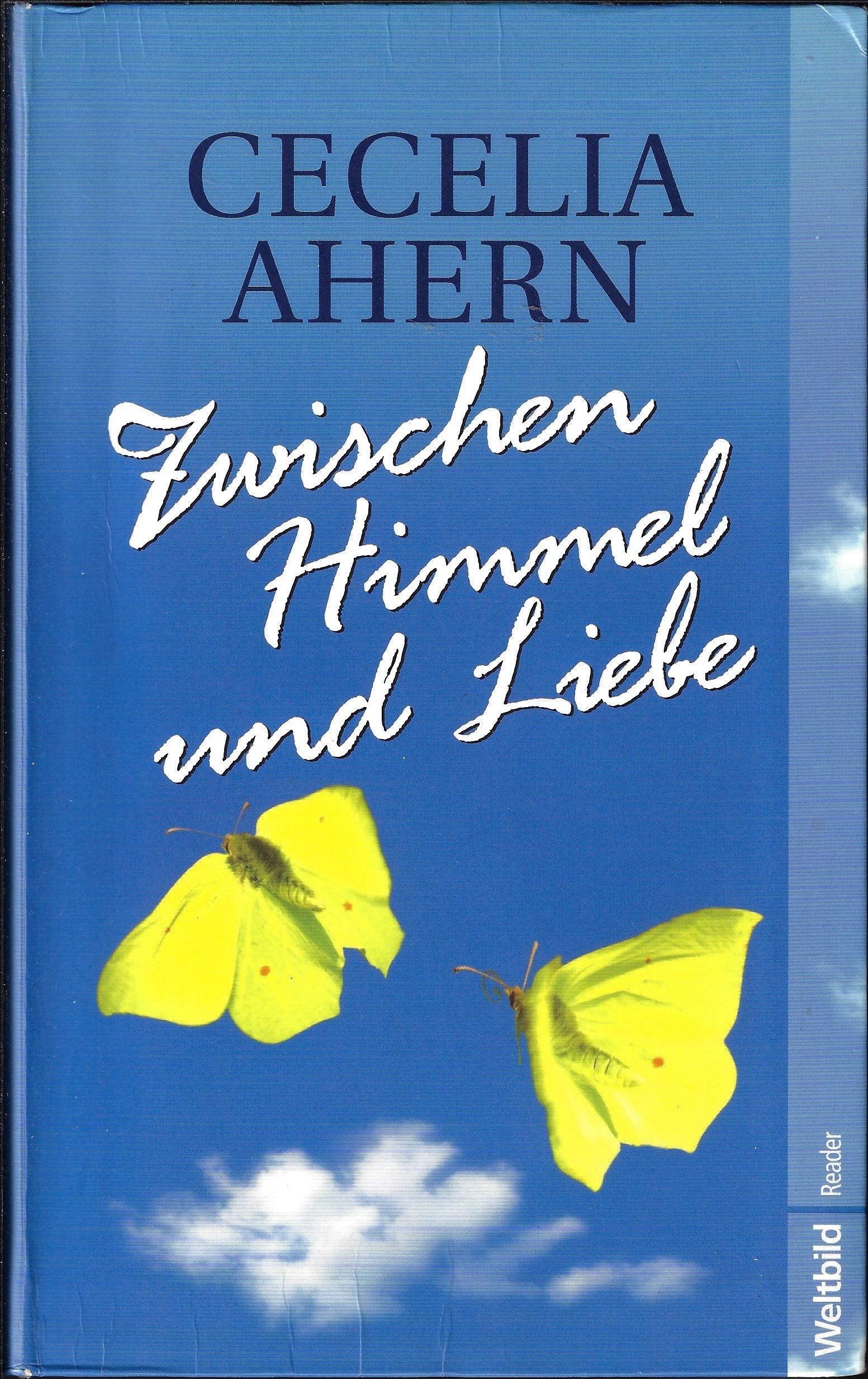 Zwischen Himmel und Liebe : Roman. Contemporary literature