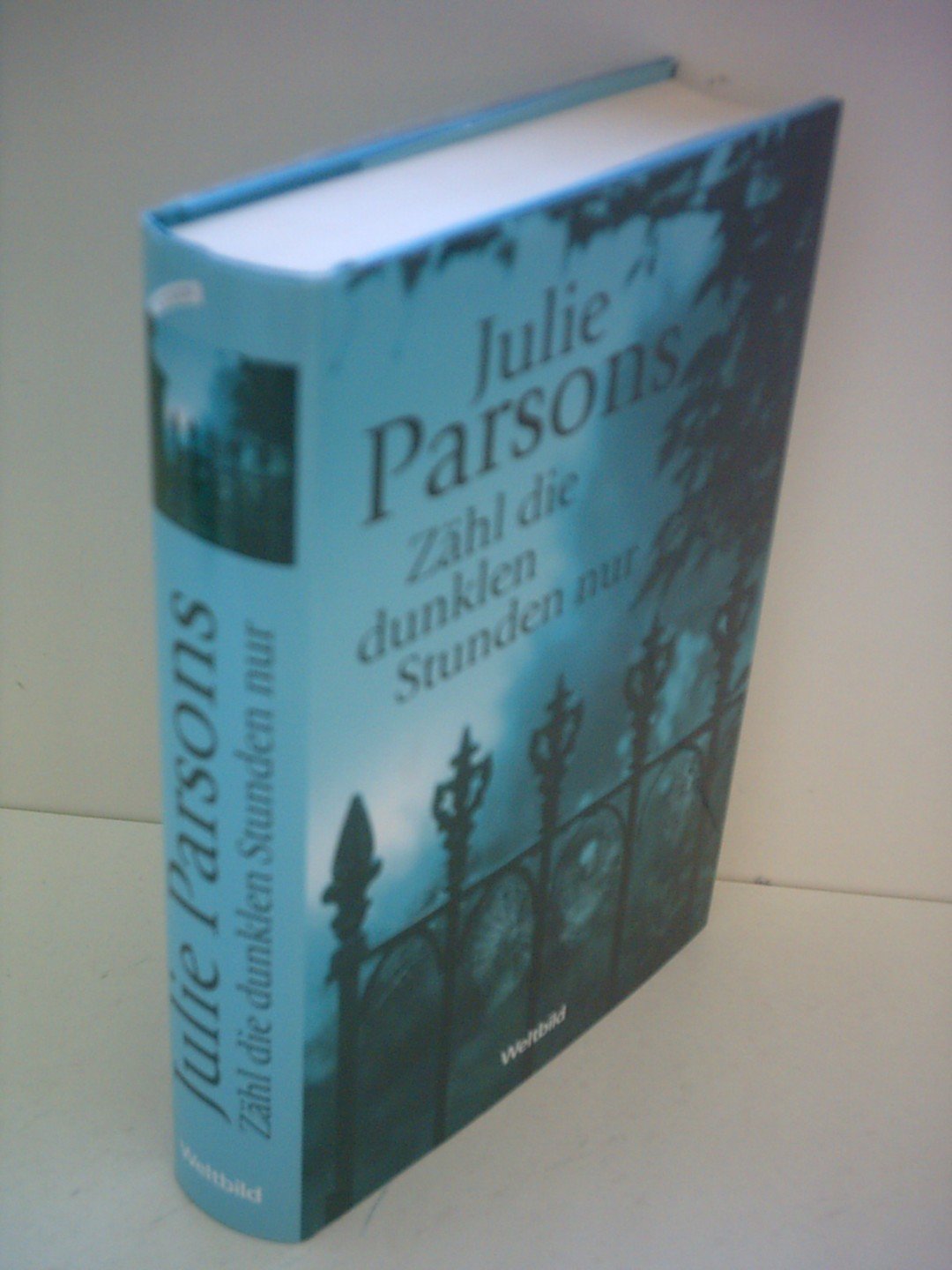 Julie Parsons: Zähl die dunklen Stunden nur Crime & Thrillers