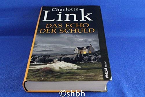 Das Echo der Schuld Contemporary literature Books