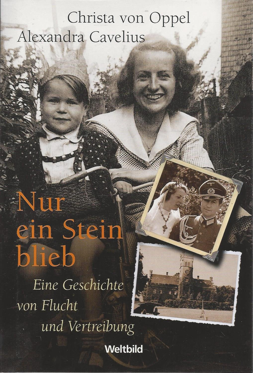 Nur ein Stein blieb : eine Geschichte von Flucht und Vertreibung Politics & Society Books