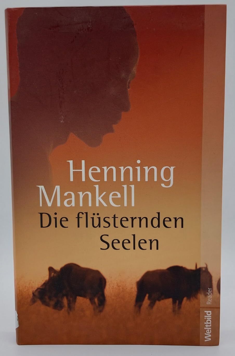 Die flüsternden Seelen : Roman. Contemporary literature