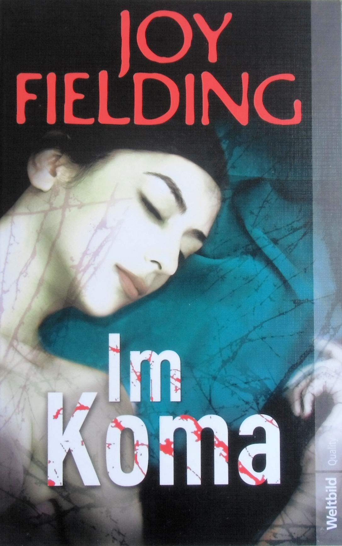 Im Koma: Roman / Still life Books