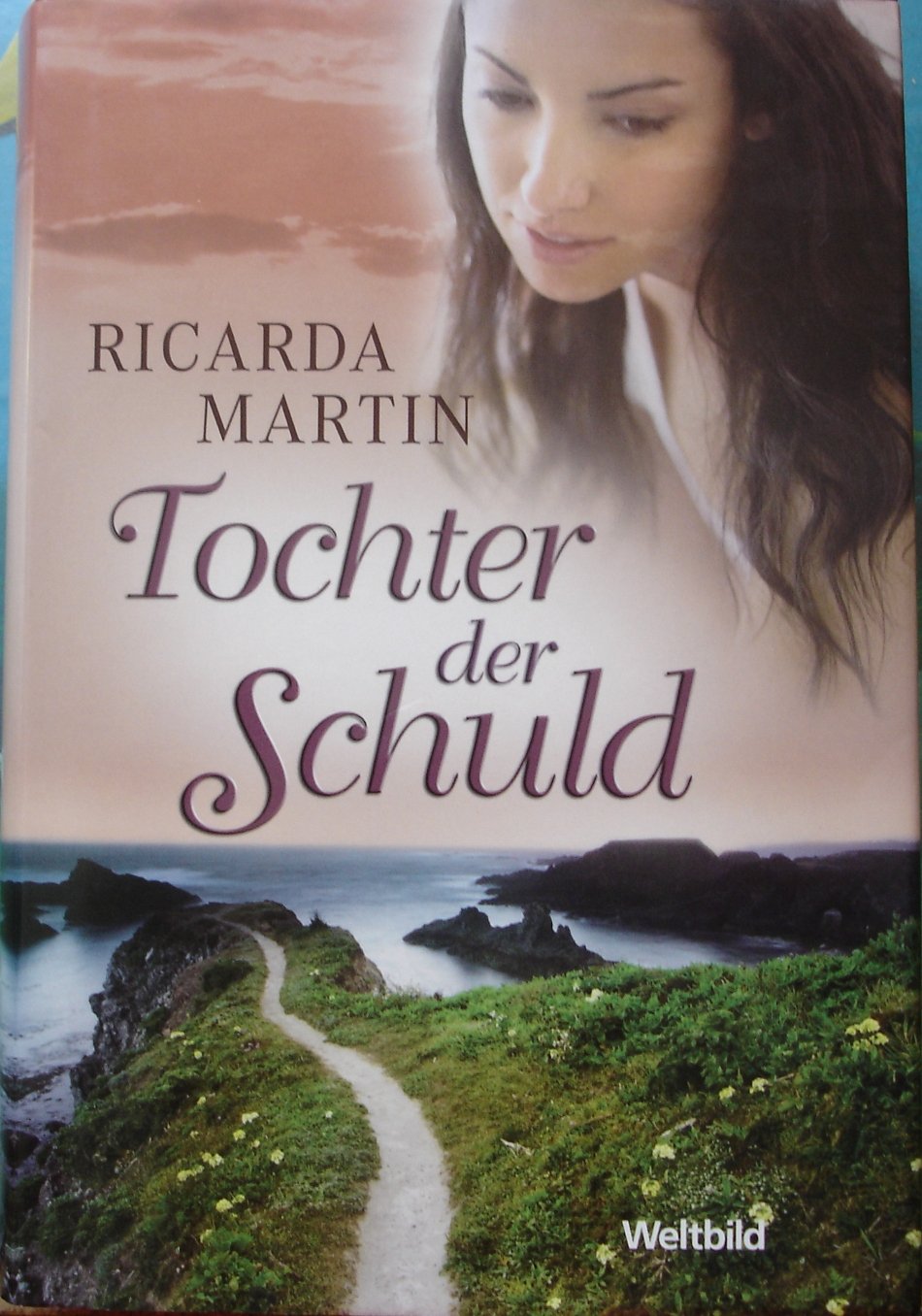 Tochter der Schuld Contemporary literature Books