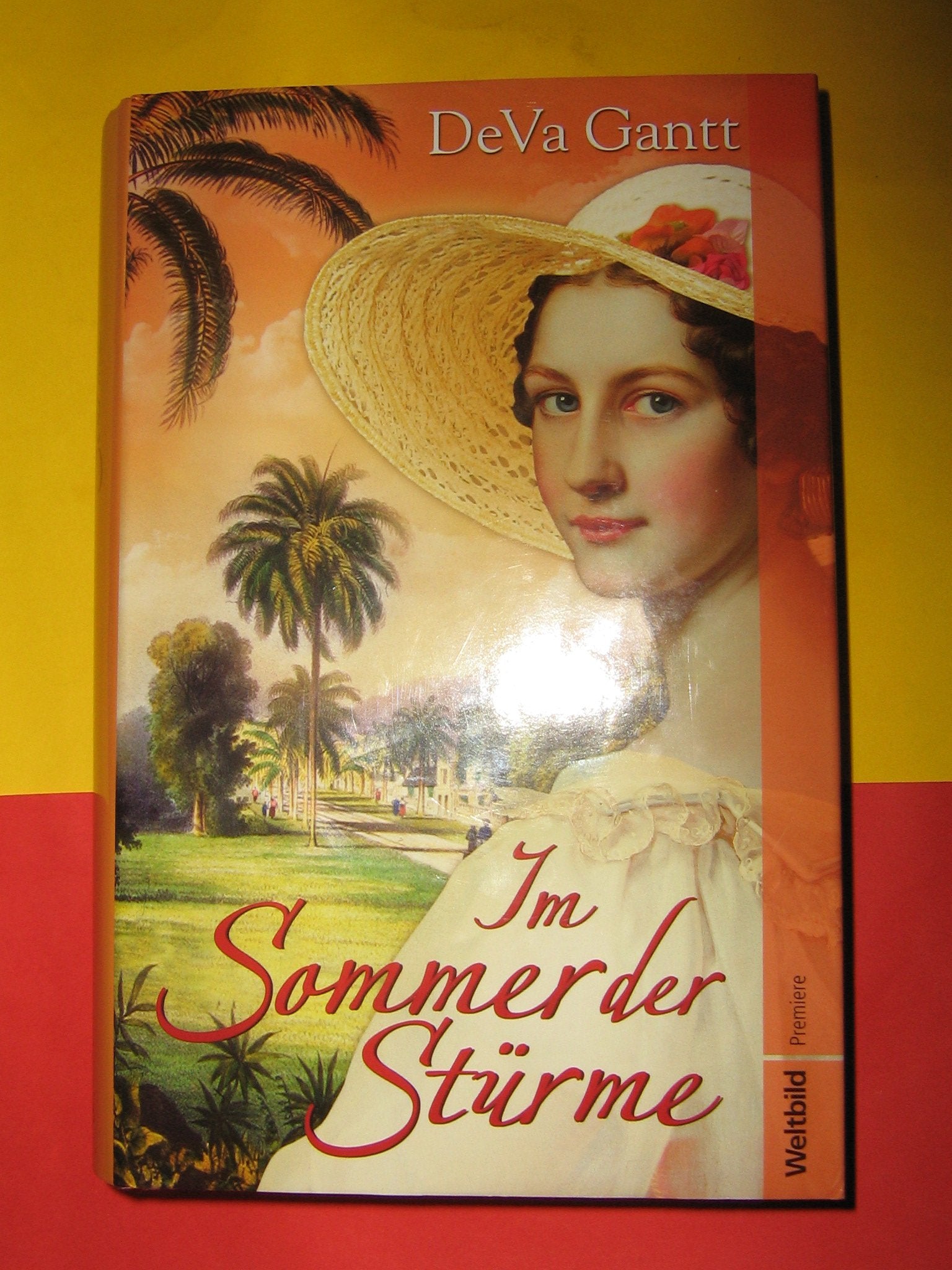 Im Sommer der Stürme Contemporary literature Books