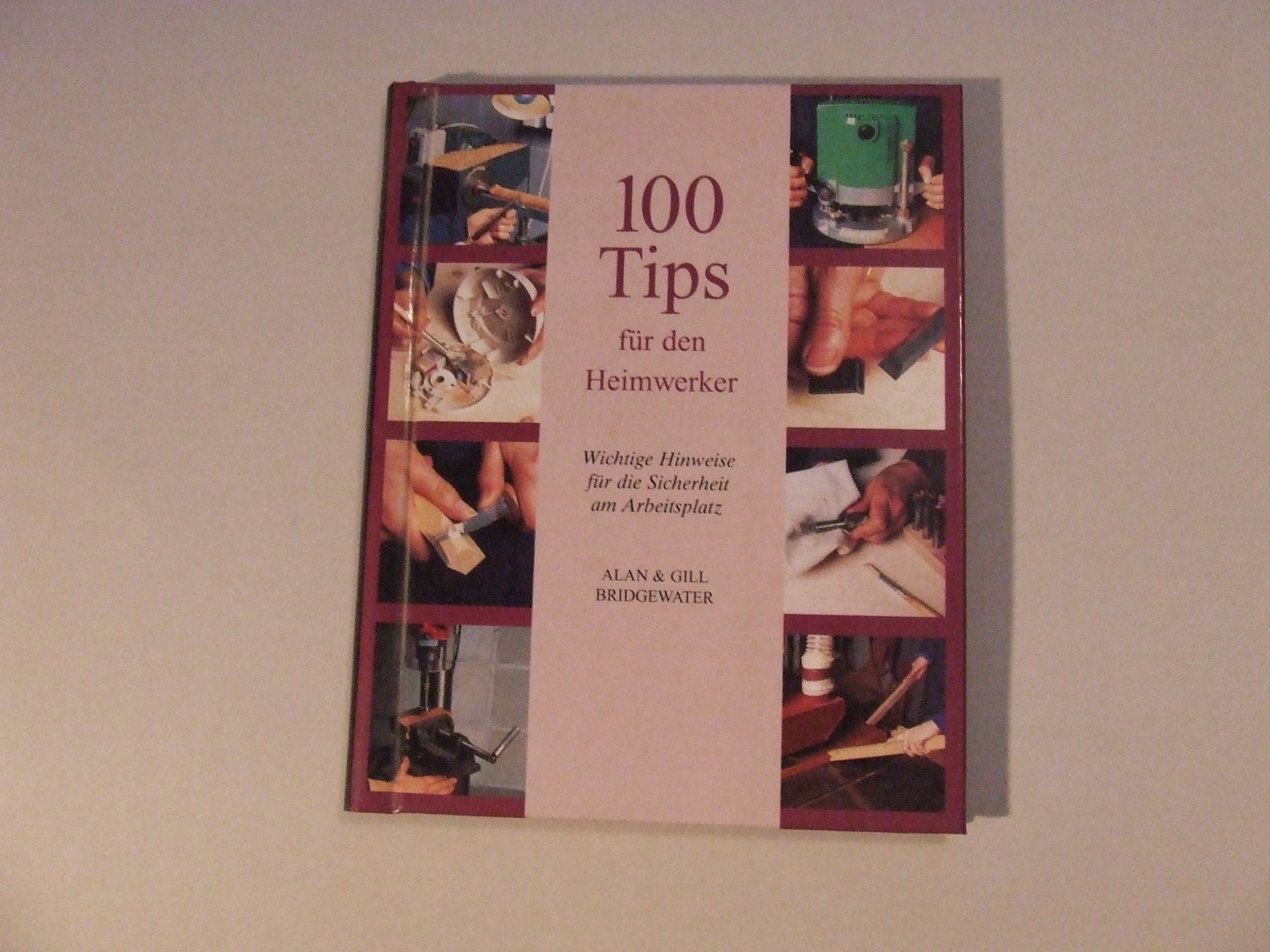 100 Tipps für den Heimwerker Books