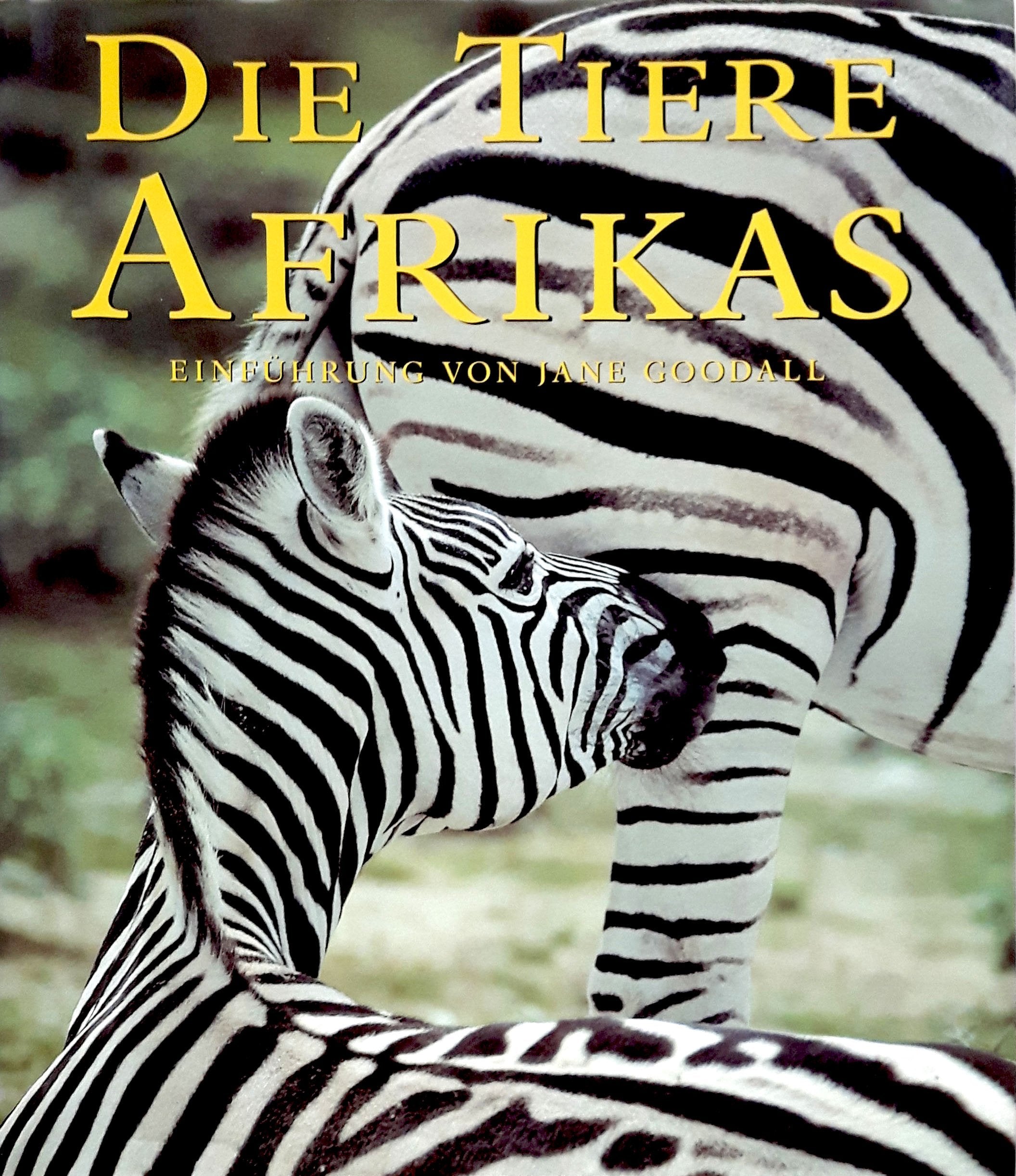 Product Image: Die Tiere Afrikas