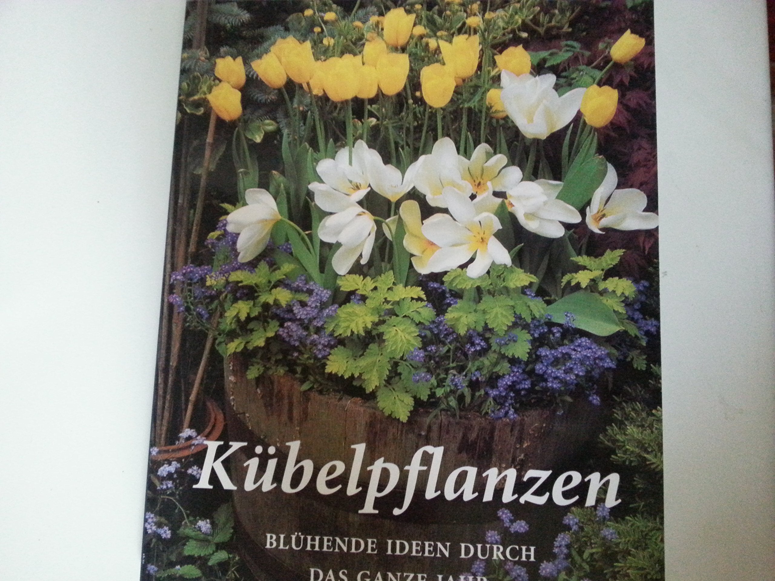 Kübelpflanzen. Blühende Ideen durch das ganze Jahr Garden & Plants
