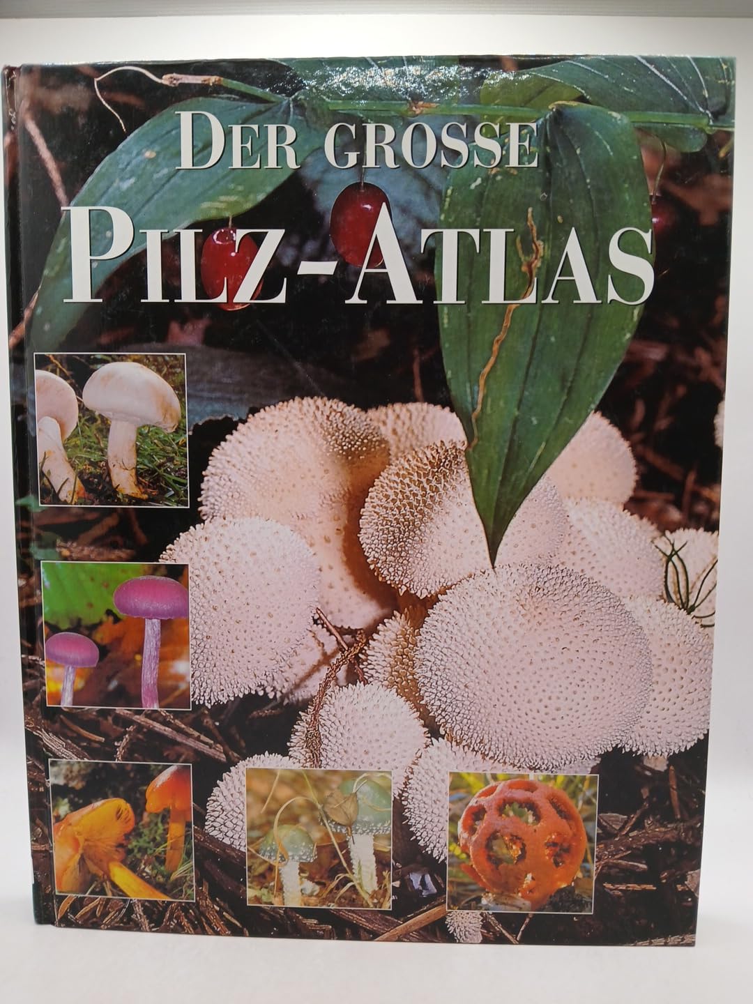 Der große Pilz- Atlas Garden & Plants
