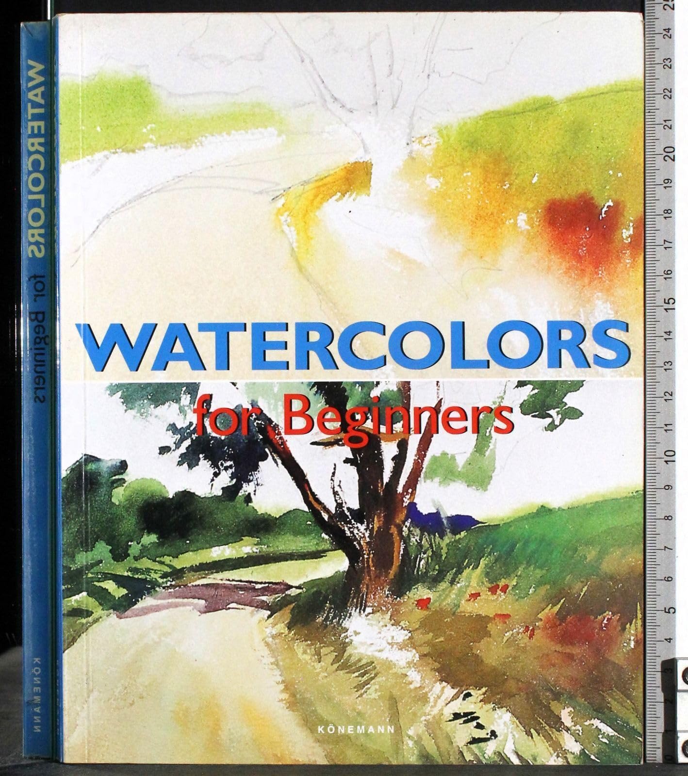 Watercolor: Fine Art for Beginners Film, Art & Culture