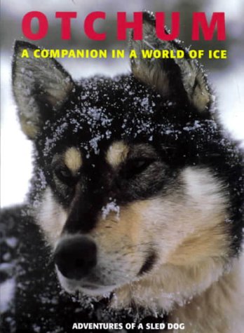 Otchum: A Companion in a World of Ice Pets