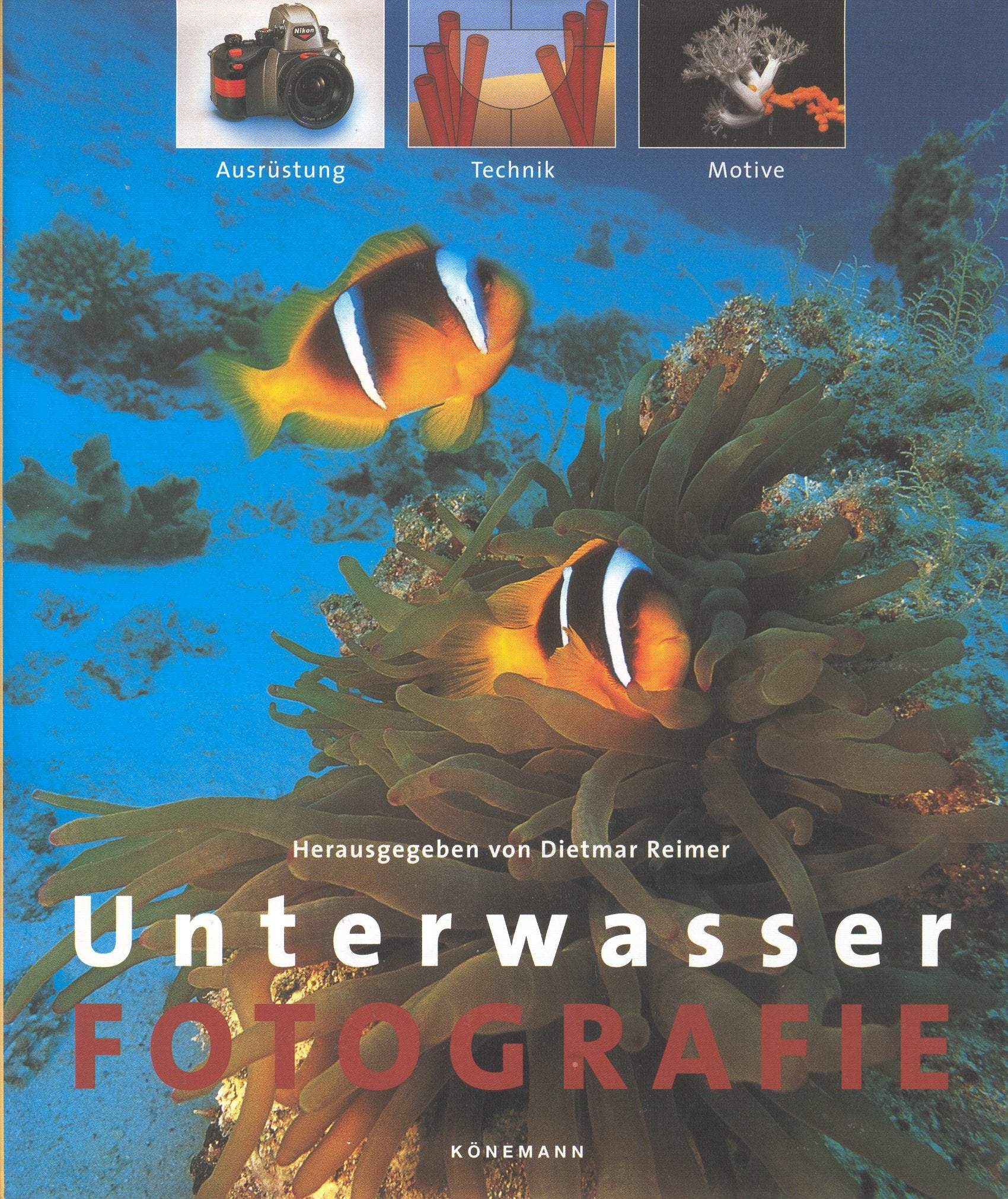 Unterwasserfotografie Photography